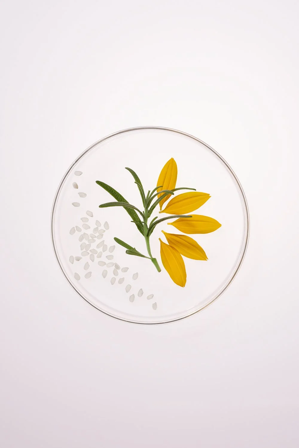 NLT_Ingredients_Shot-4_150-(1)_web.jpg