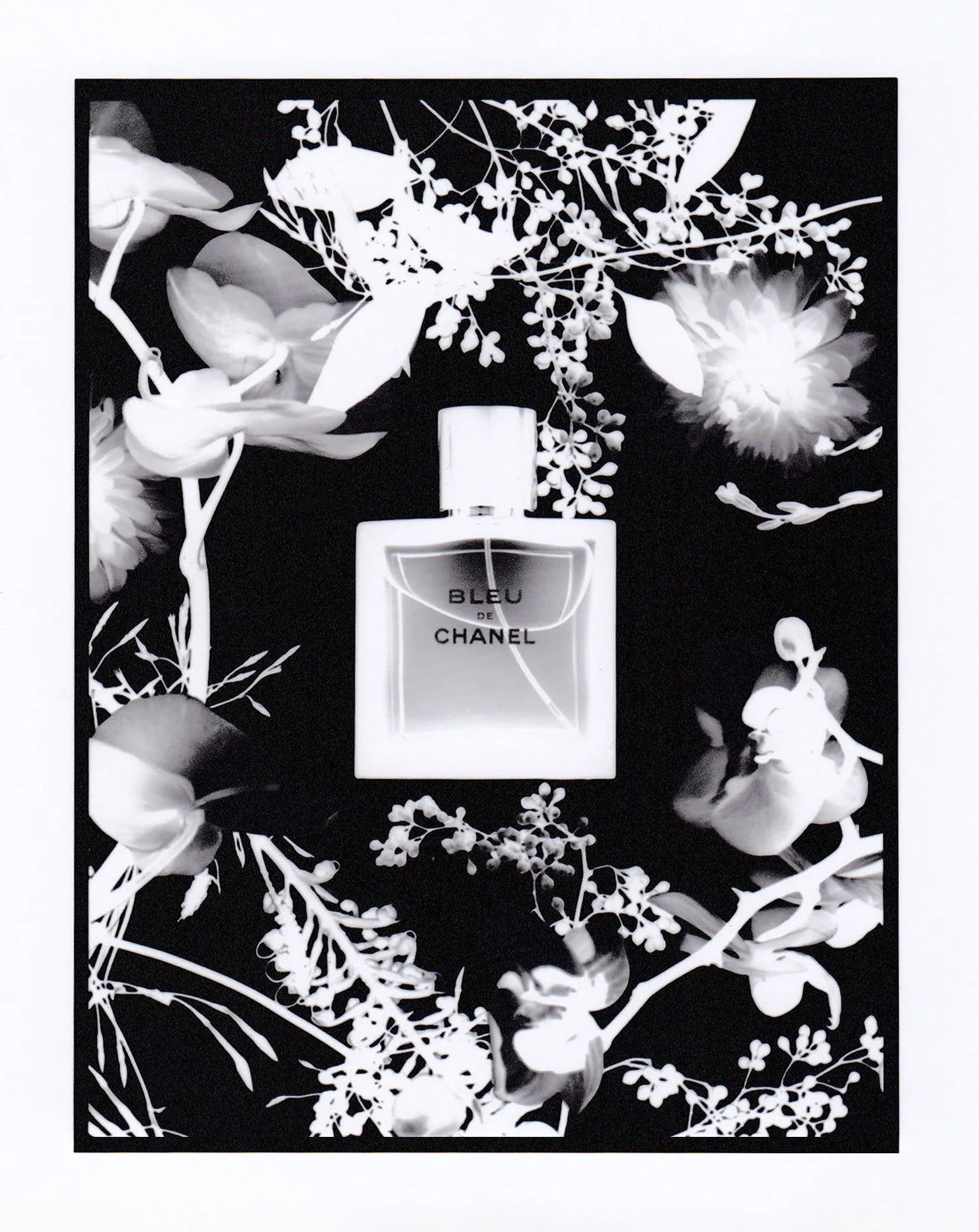 Blue Chanel_BW Negative Darkroom1.jpg