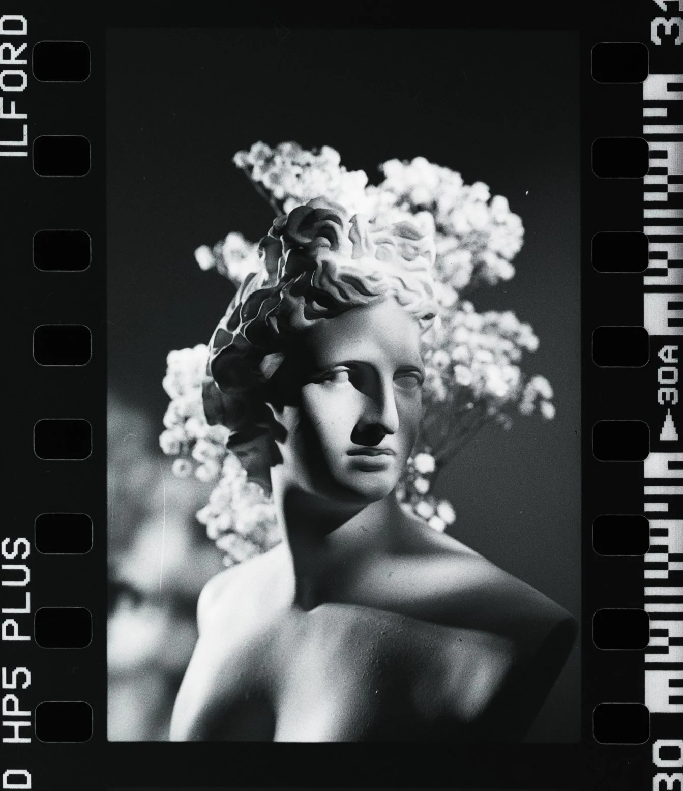 BW-Scans10890_RT_1_web.jpg