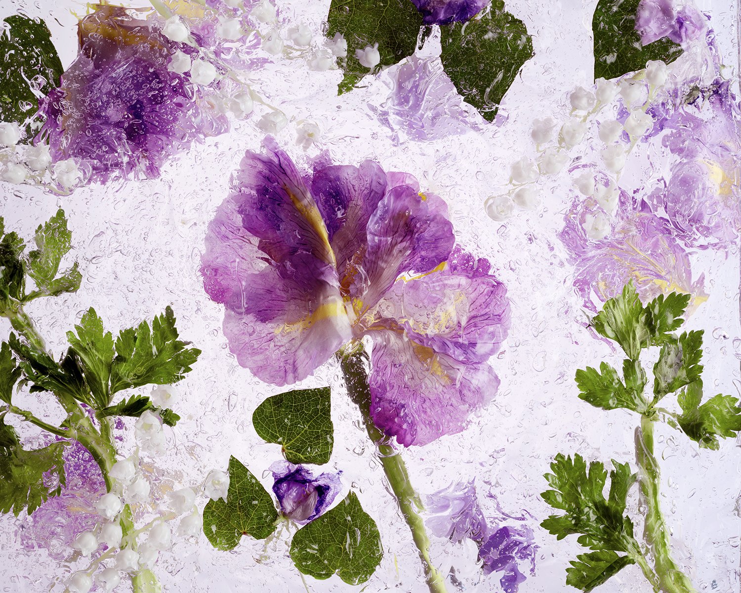 NLT_Fragrance_Shot-6_084_RT_web.jpg