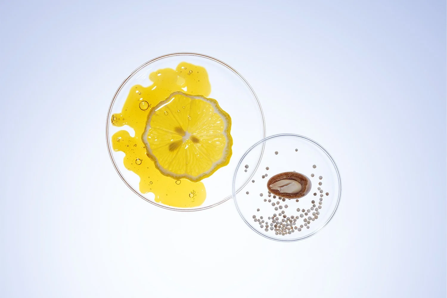 NLT_Ingredients_Shot-9_234_web.jpg