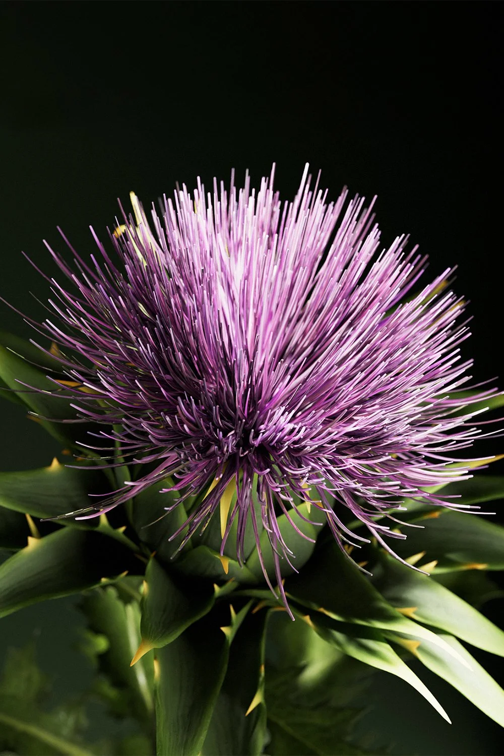 Flower-Still_CU1.jpg