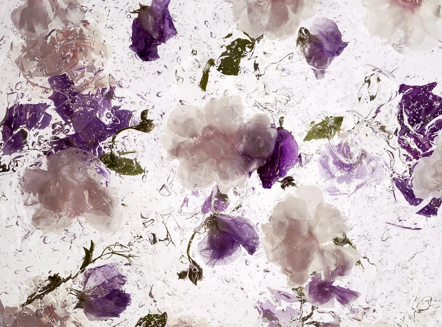 NLT_Fragrance_Shot-2_050_RT_web.jpg