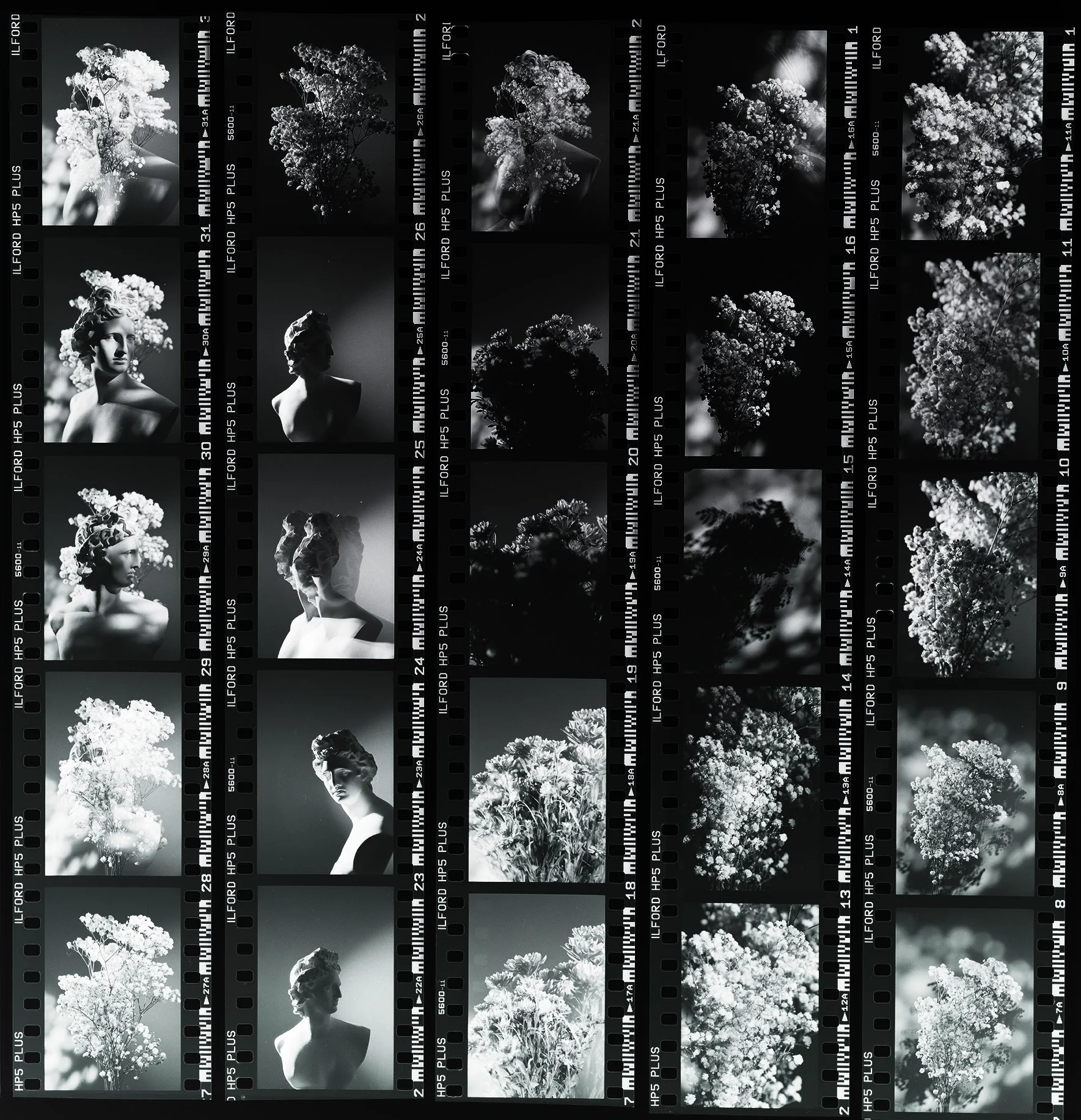 BW-Scans10890_RT_full_web.jpg