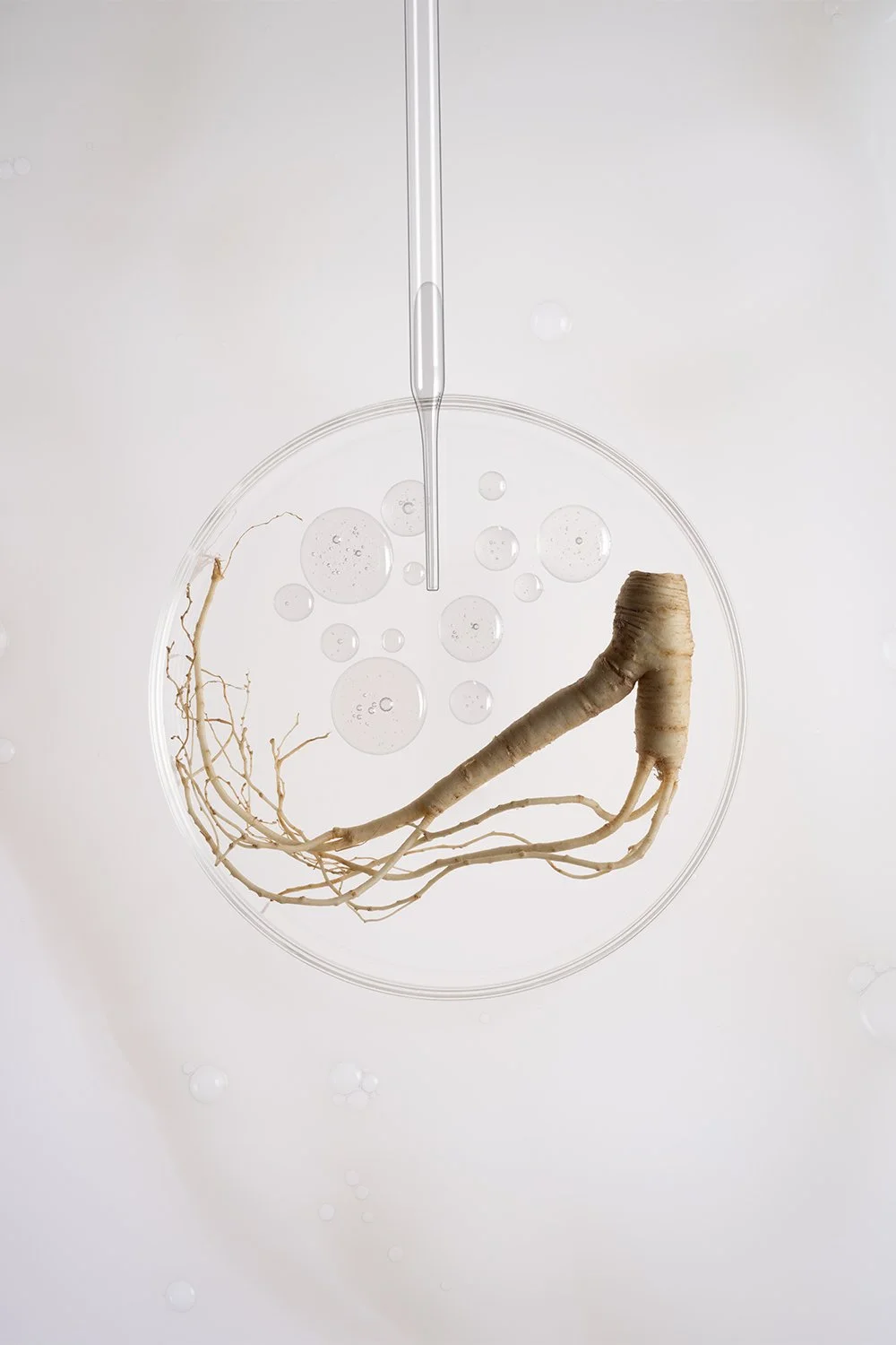 NLT_Ingredients_Shot-14_681_web.jpg