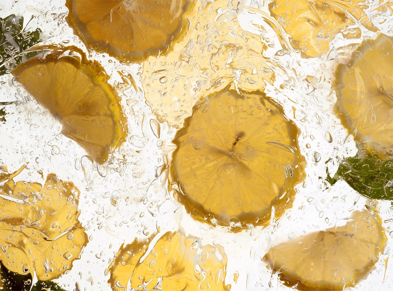 NLT_Fragrance_Shot-3_062_RT_web.jpg