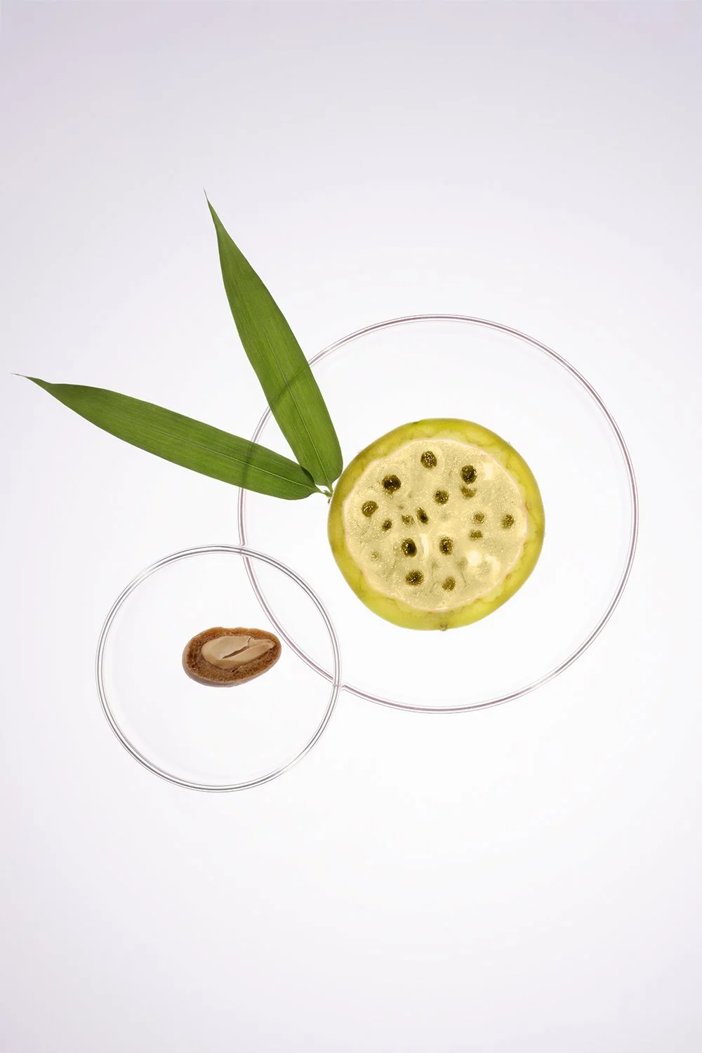 NLT_Ingredients_Shot-7_192_web.jpg