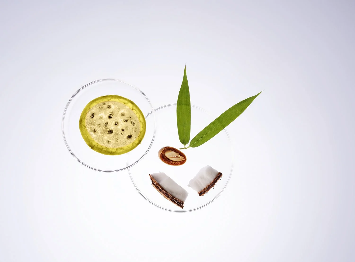 NLT_Ingredients_Shot-13_321_RT_R2_web.jpg