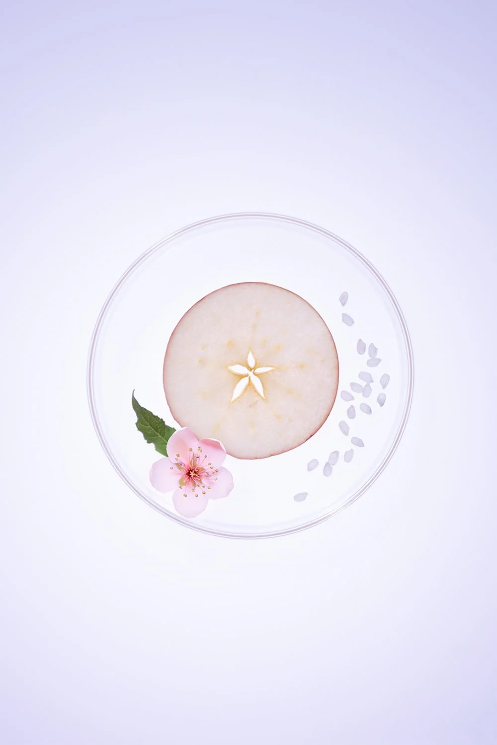 NLT_Ingredients_Shot-5_167-(1)_web.jpg