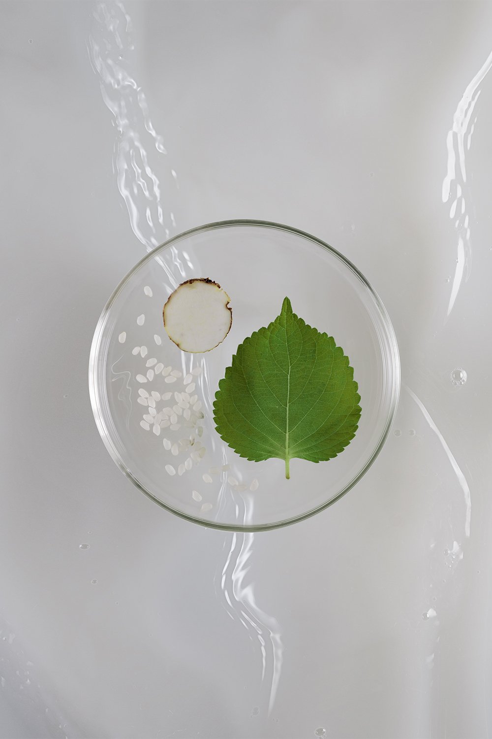 NLT_Ingredients_Shot-14_396_RT_R2_web2.jpg
