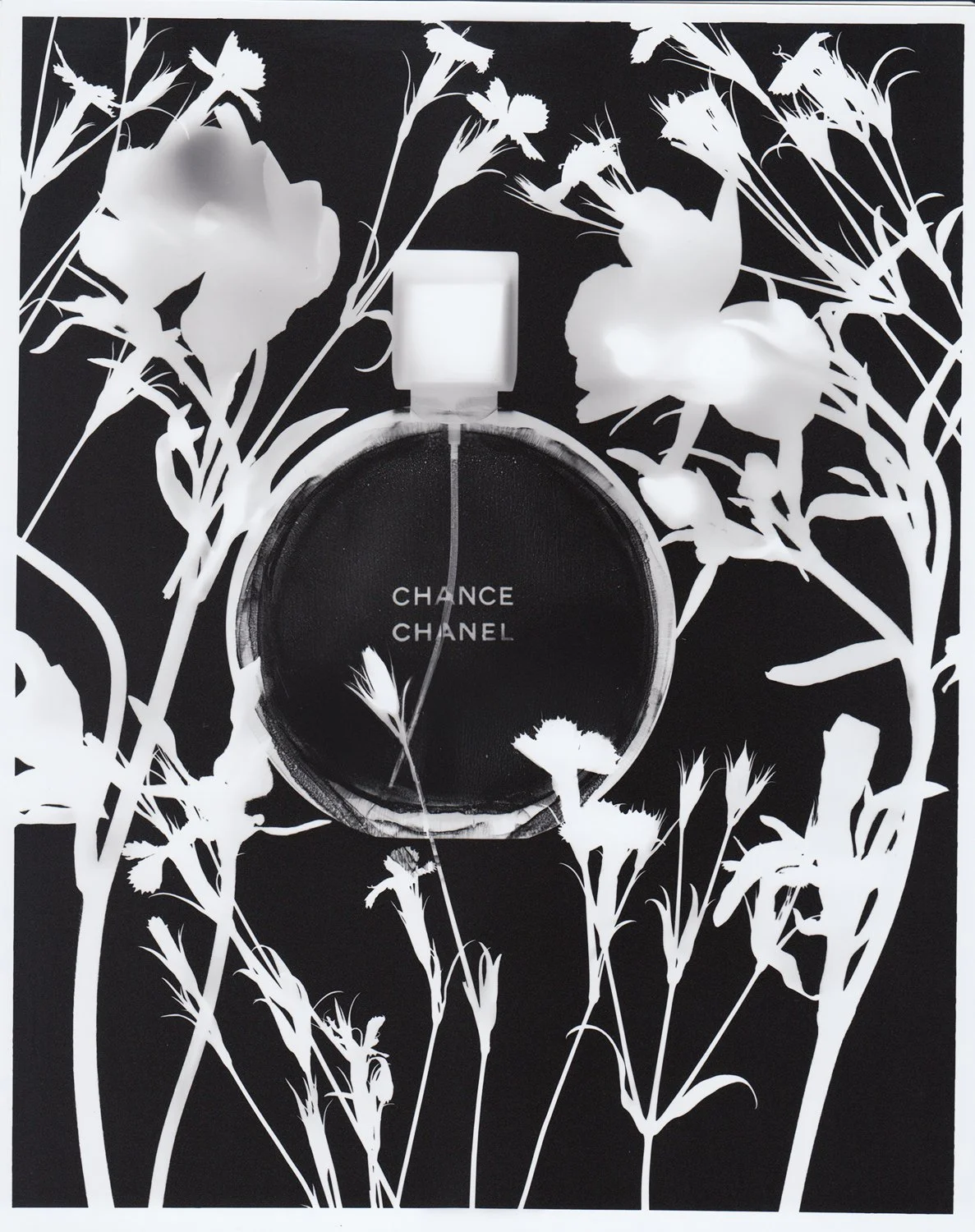 FlowerPhotogram_18_RT_web.jpg