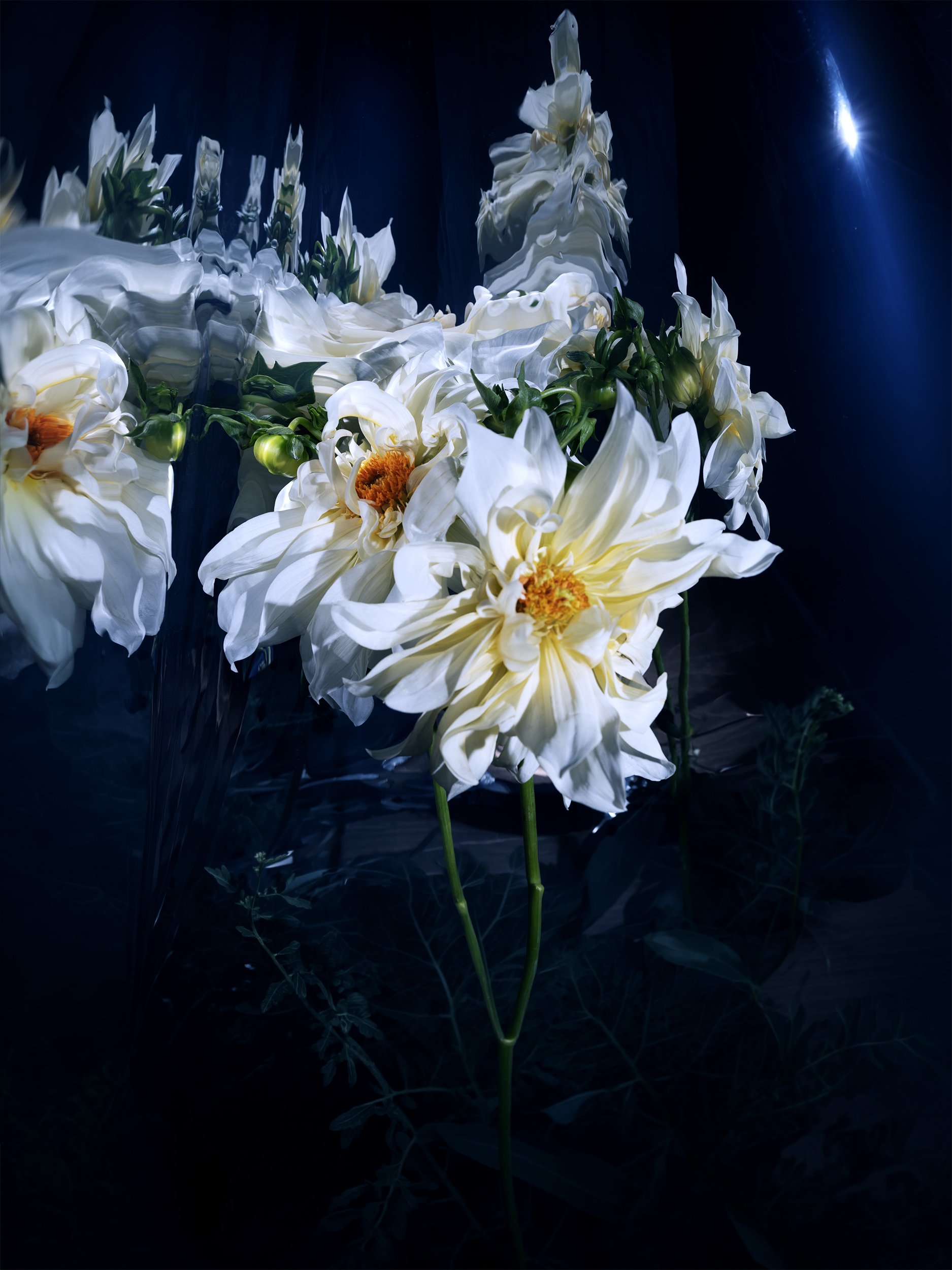 WhimsicalFlowers11428_RT_web.jpg
