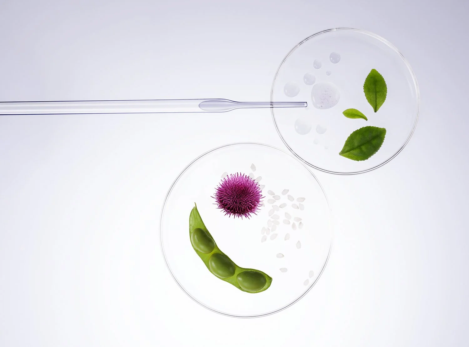 NLT_Ingredients_Shot-11_276_RT_R2_web.jpg