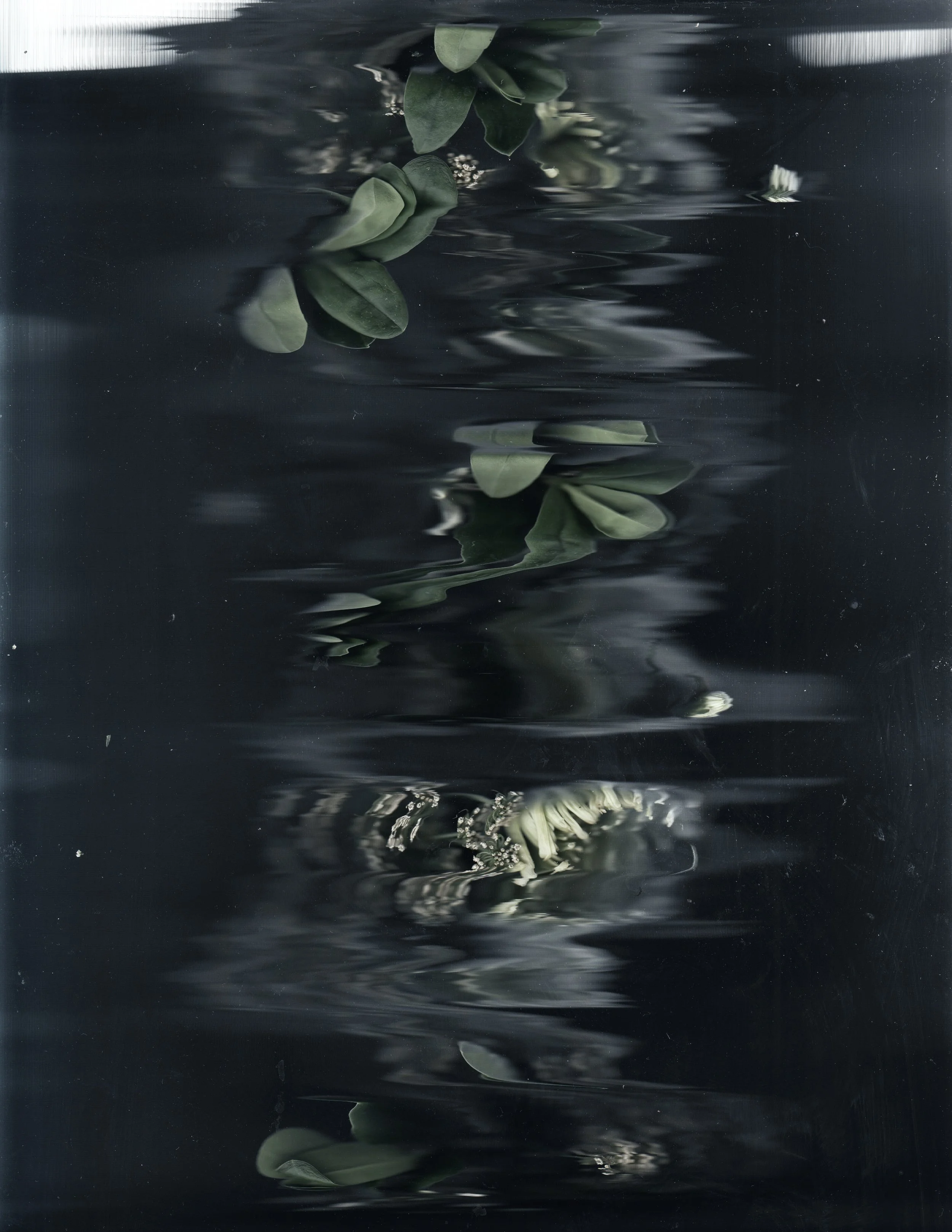 Fragmented Memories XXX