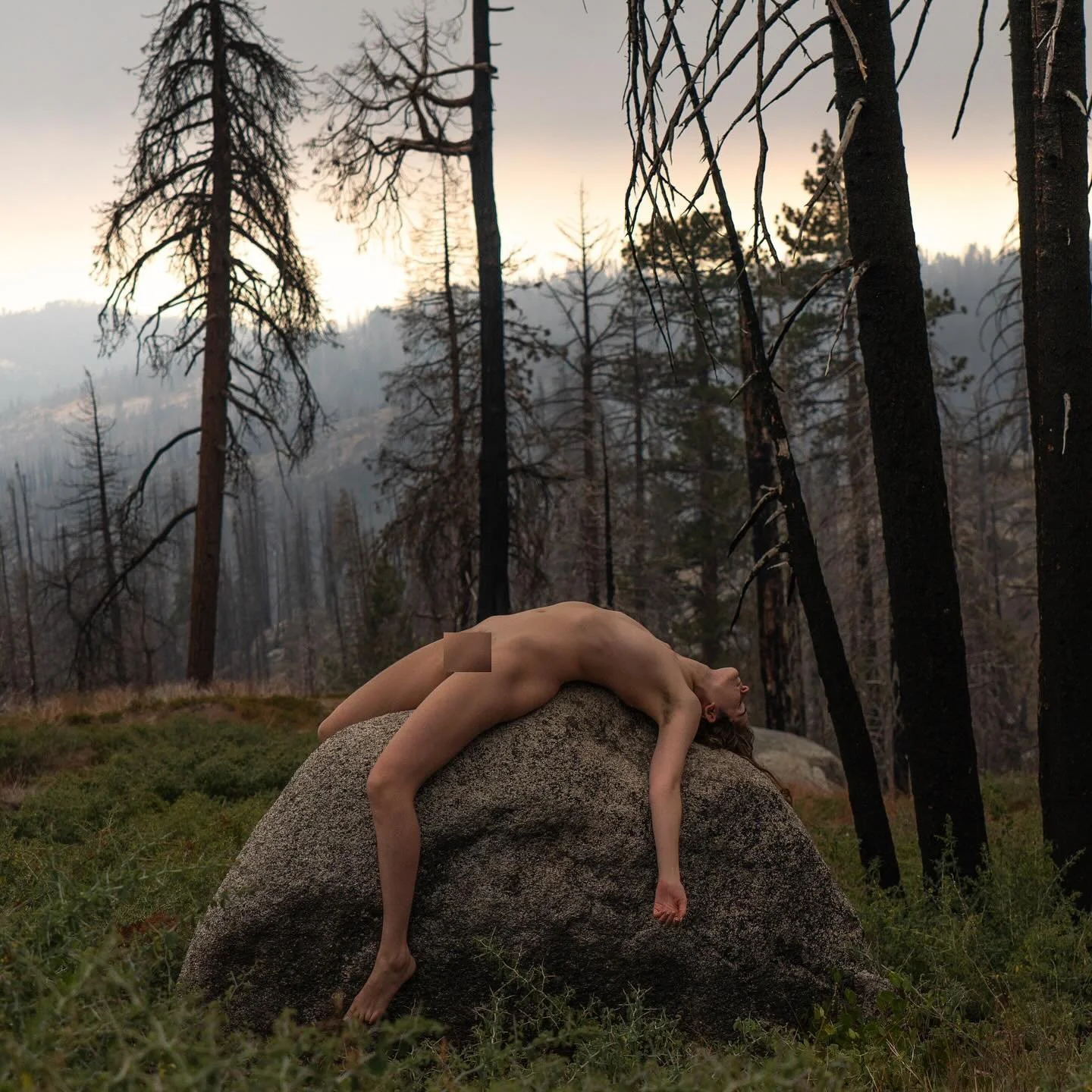 Wildfires claim the trees&mdash;
ash and ember born anew.
I gather soot in quiet hands,
press it to my skin
in mourning,
in memory&mdash;
a gesture of giving myself
back to the Earth.

Charred branches
etch black silhouettes
against the sky,
twisting