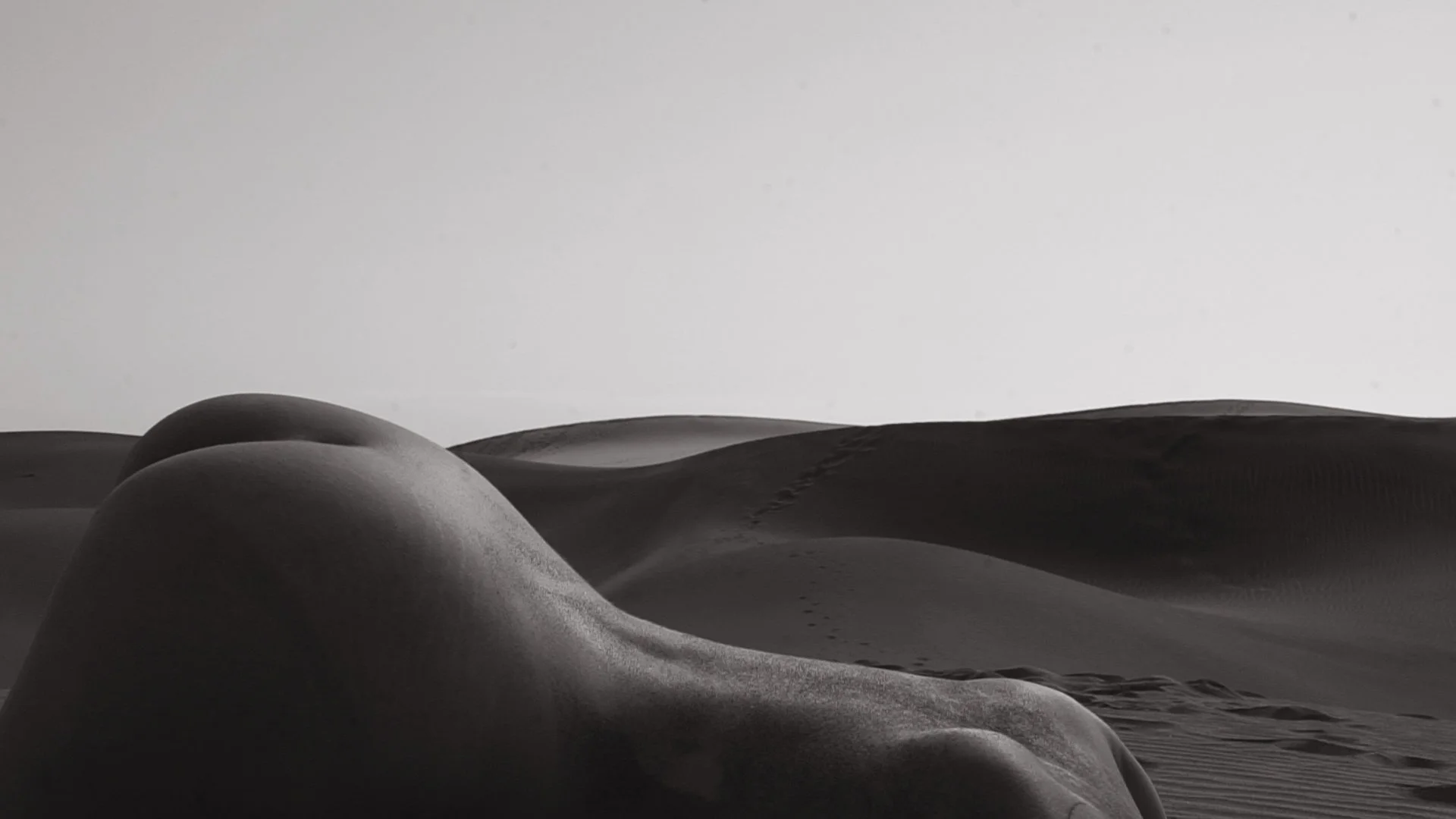 curves 1-2.jpg