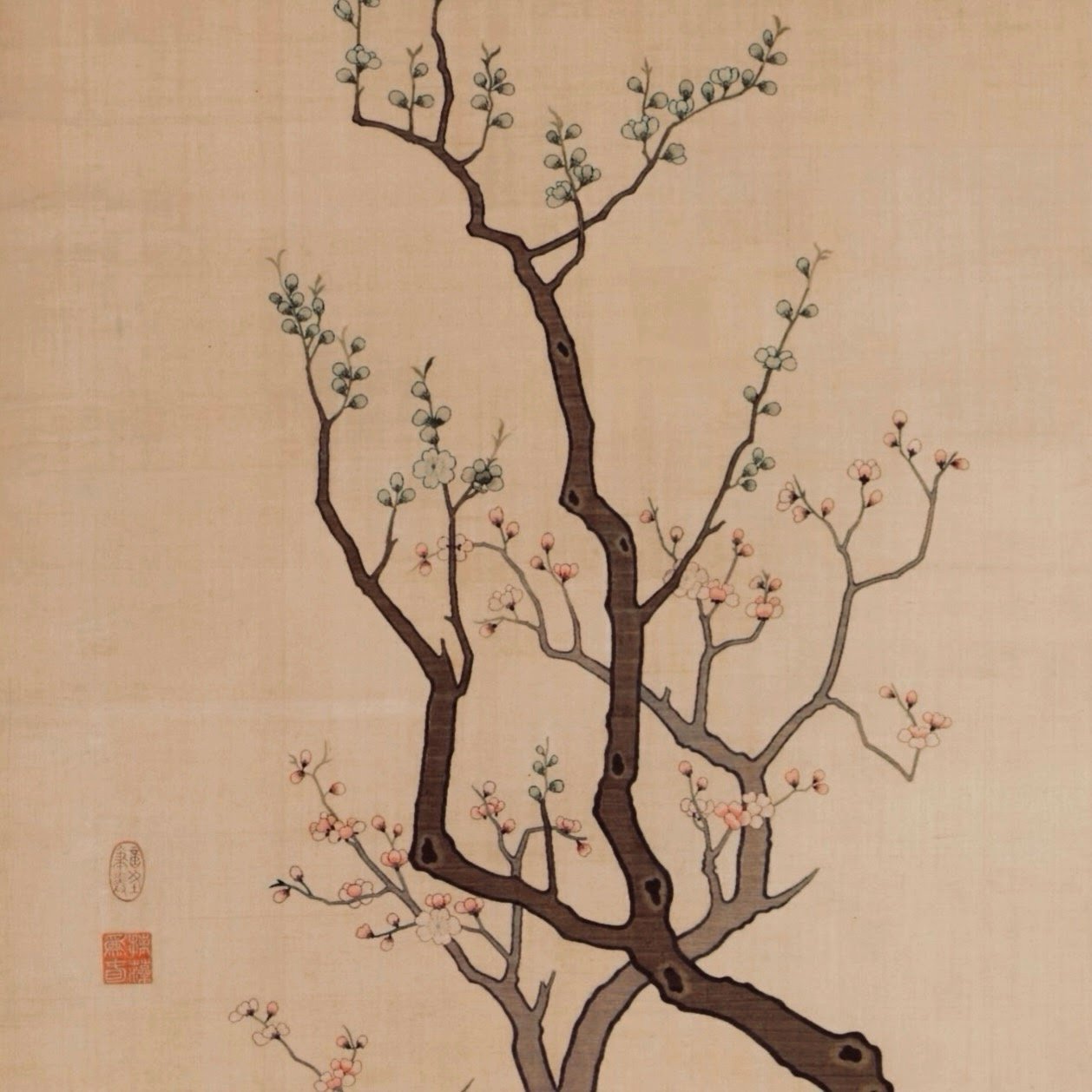 Fleurs de prunier et d'abricotier