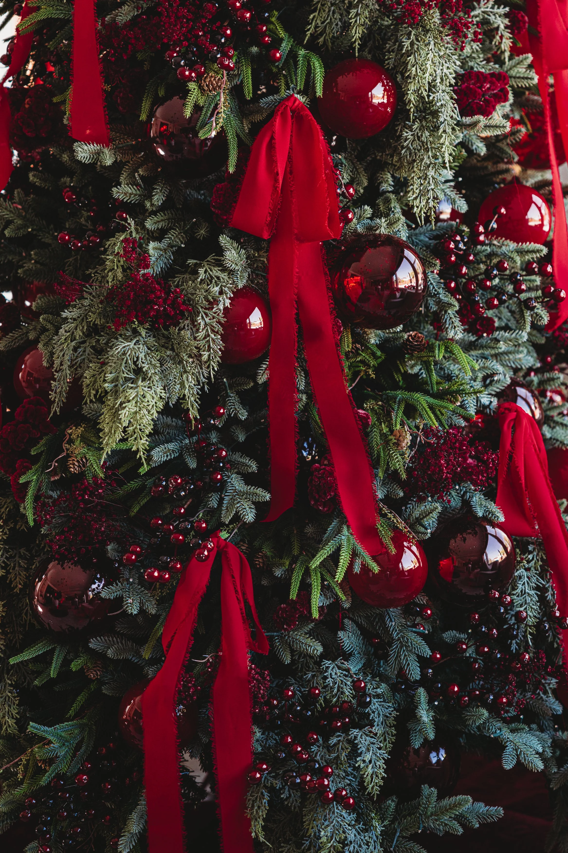 Close-up of a Christmas tree decorated with red ornaments, red ribbons, and greenery.