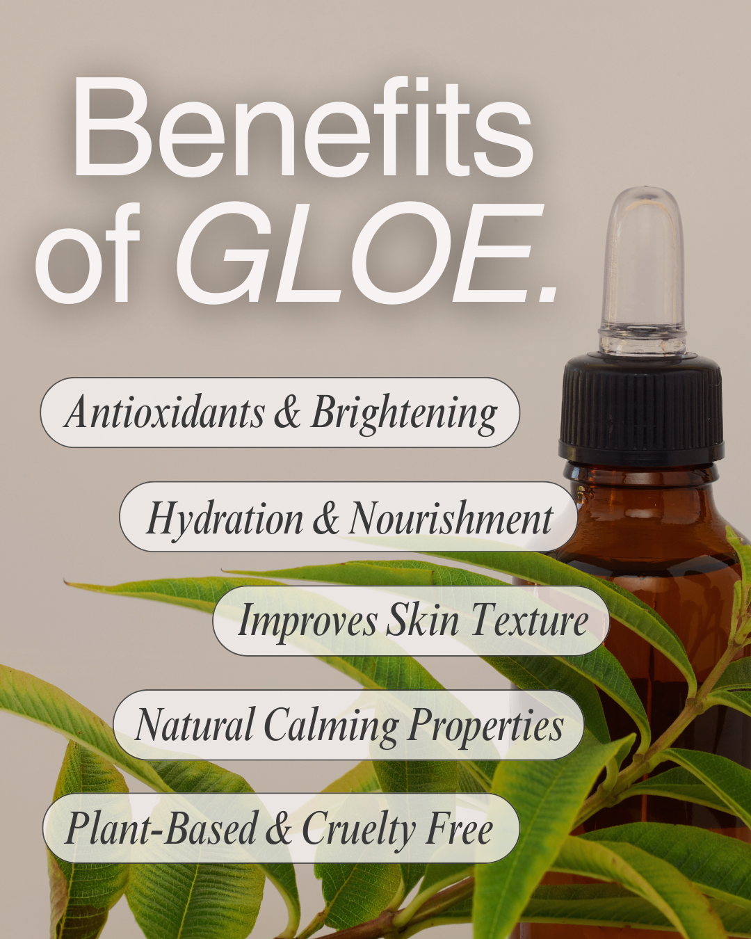 A natural skincare product advertisement highlighting the benefits of Glo, including antioxidants and brightening, hydration and nourishment, skin texture improvement, natural calming properties, and being plant-based and cruelty-free. The image features a brown dropper bottle with a black cap surrounded by green leaves.