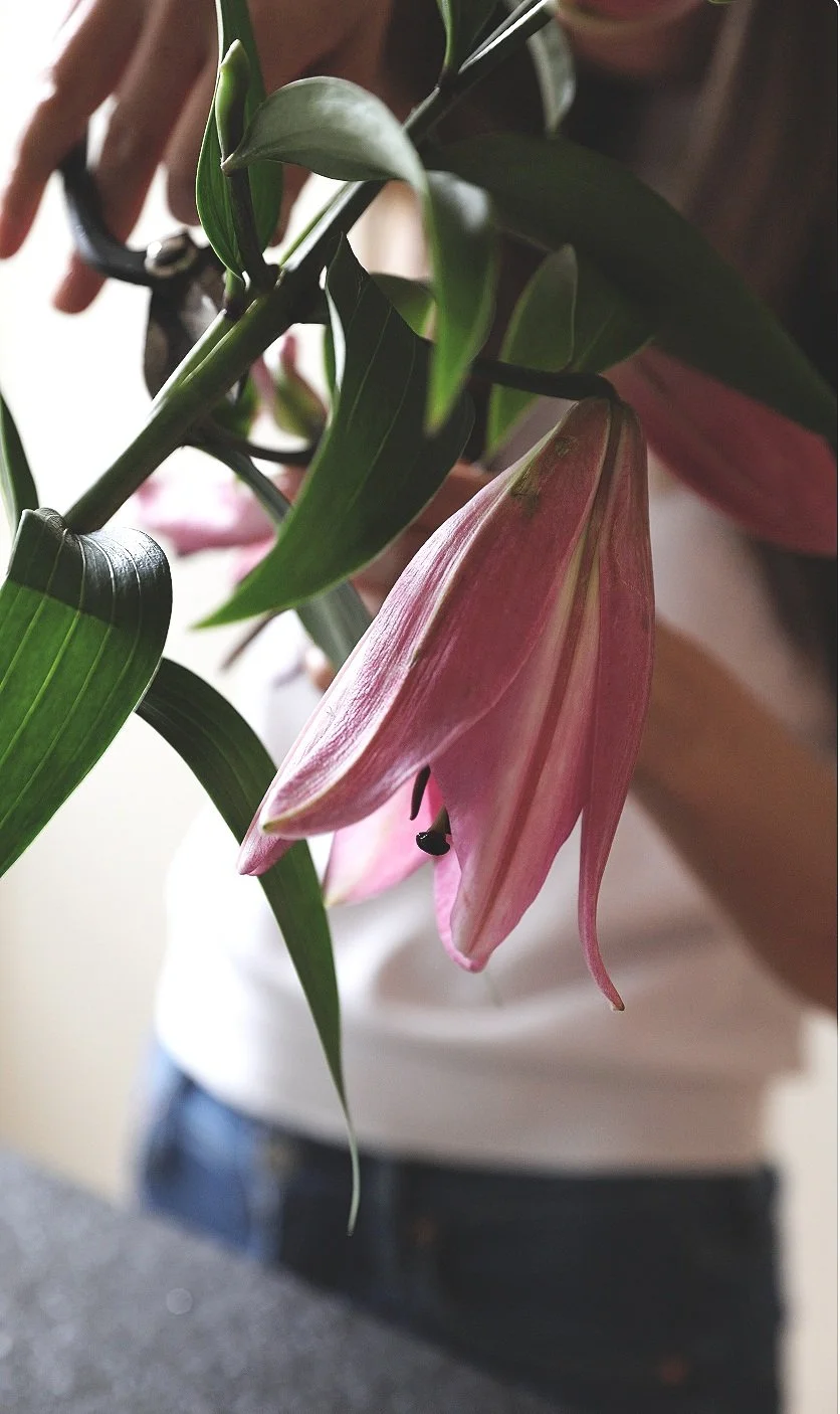 Screenshot 2024-09-24 at 14.44.19.jpg