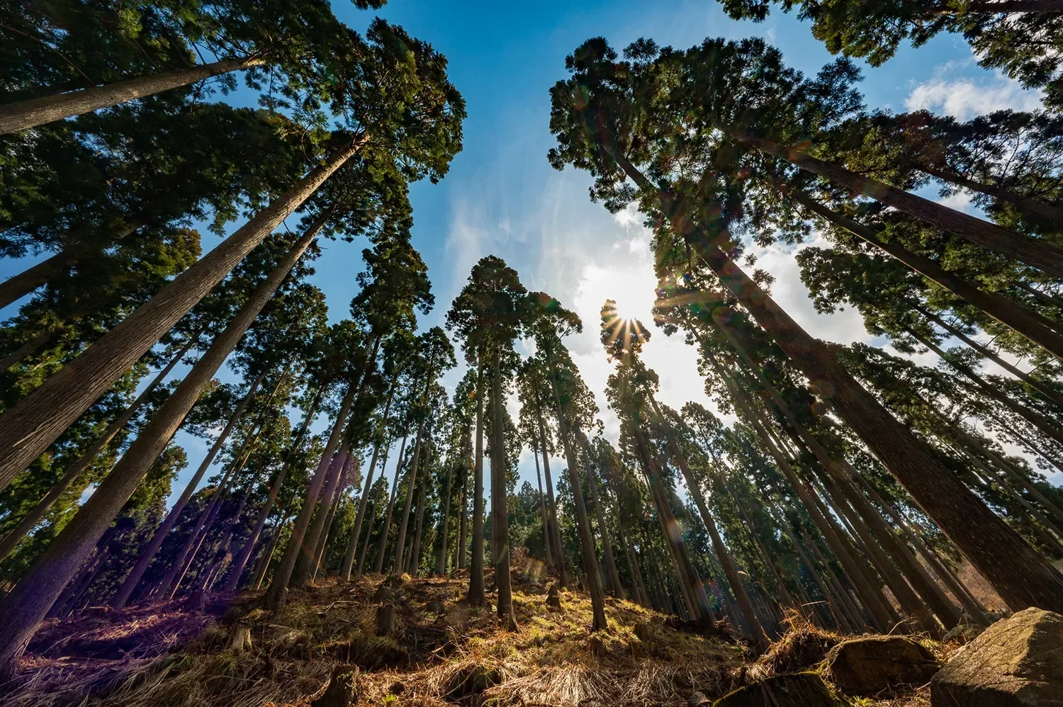 13869_hero_pc_en-US_13869_hero_pc (1).webp