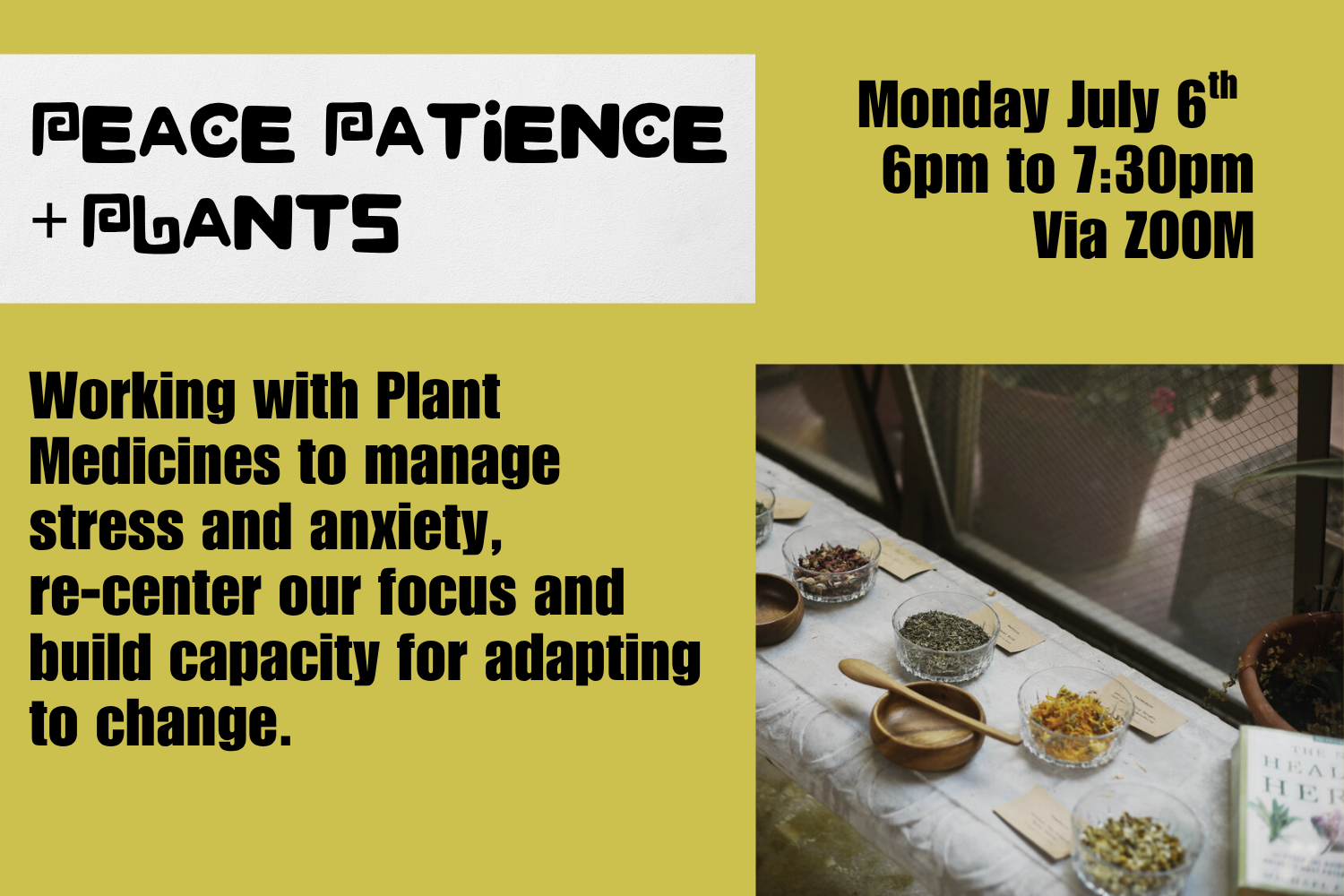 peace patience and plants.png