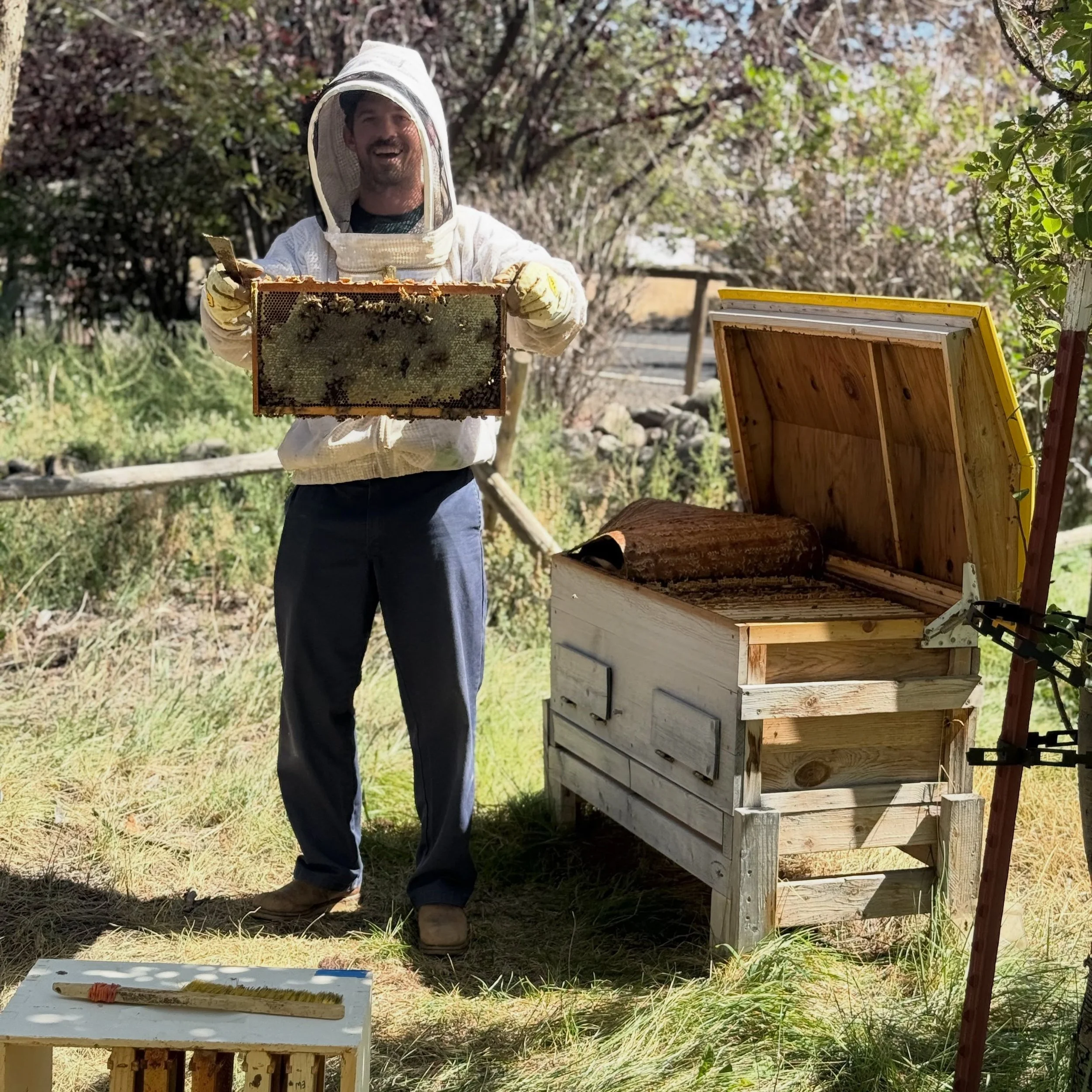 It is a joy (and way overdue) to introduce you to one of our Root Down Acres farm friends that makes our world better. For the last few years, my beekeeping took a back seat given the many other priorities on the farm. By the time last summer rolled 