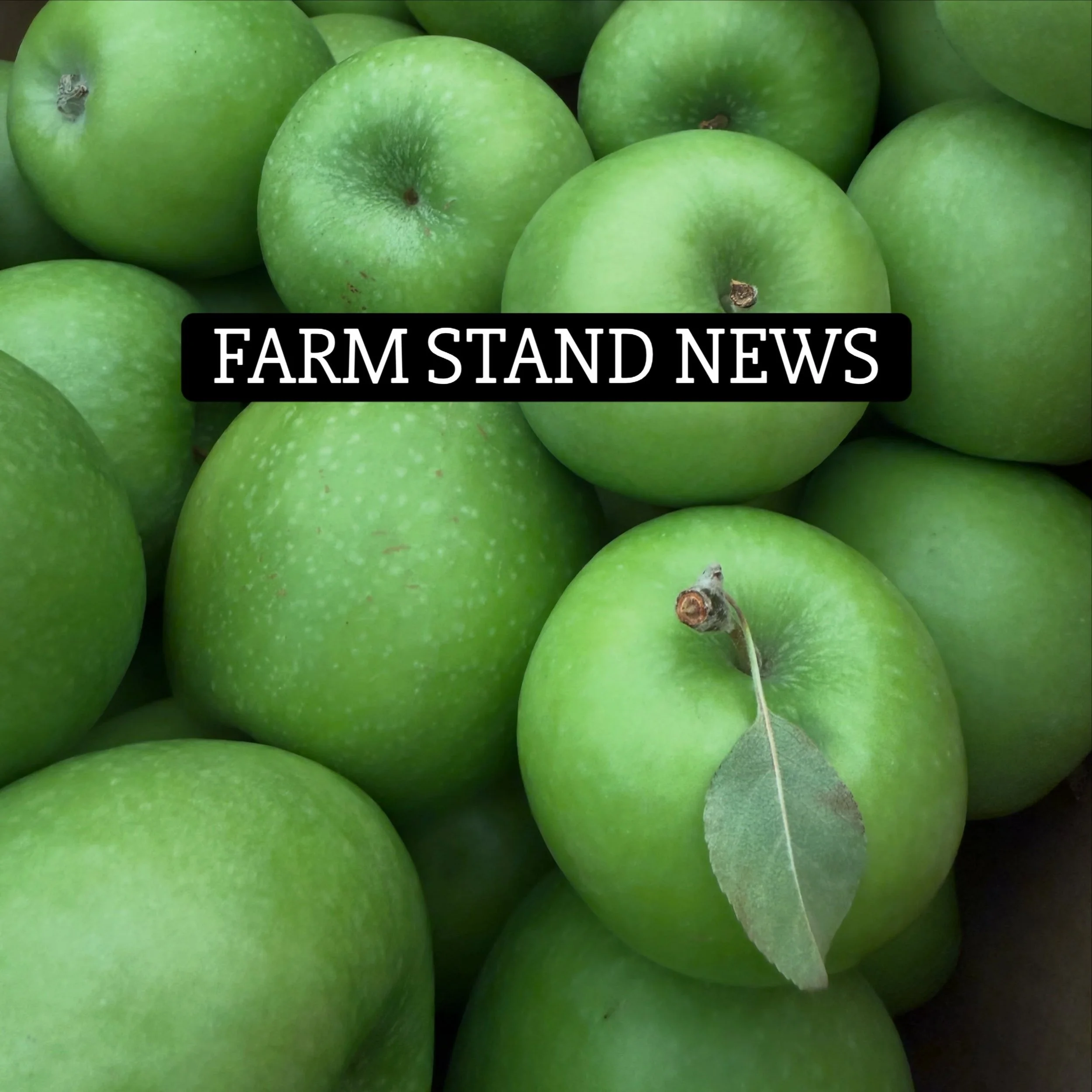 Friends/Customers! We will be at the farm stand THIS SUNDAY FROM 1-3 with hot apple cider and donuts because we want an excuse to see you all before we start hibernating. Hope you&rsquo;ll come say hi to the donkeys and us! 💚 PS. Yes, it&rsquo;s tru