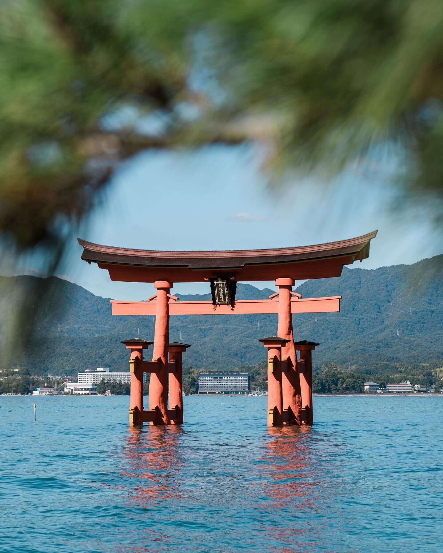 Japan 2023, Miyajima