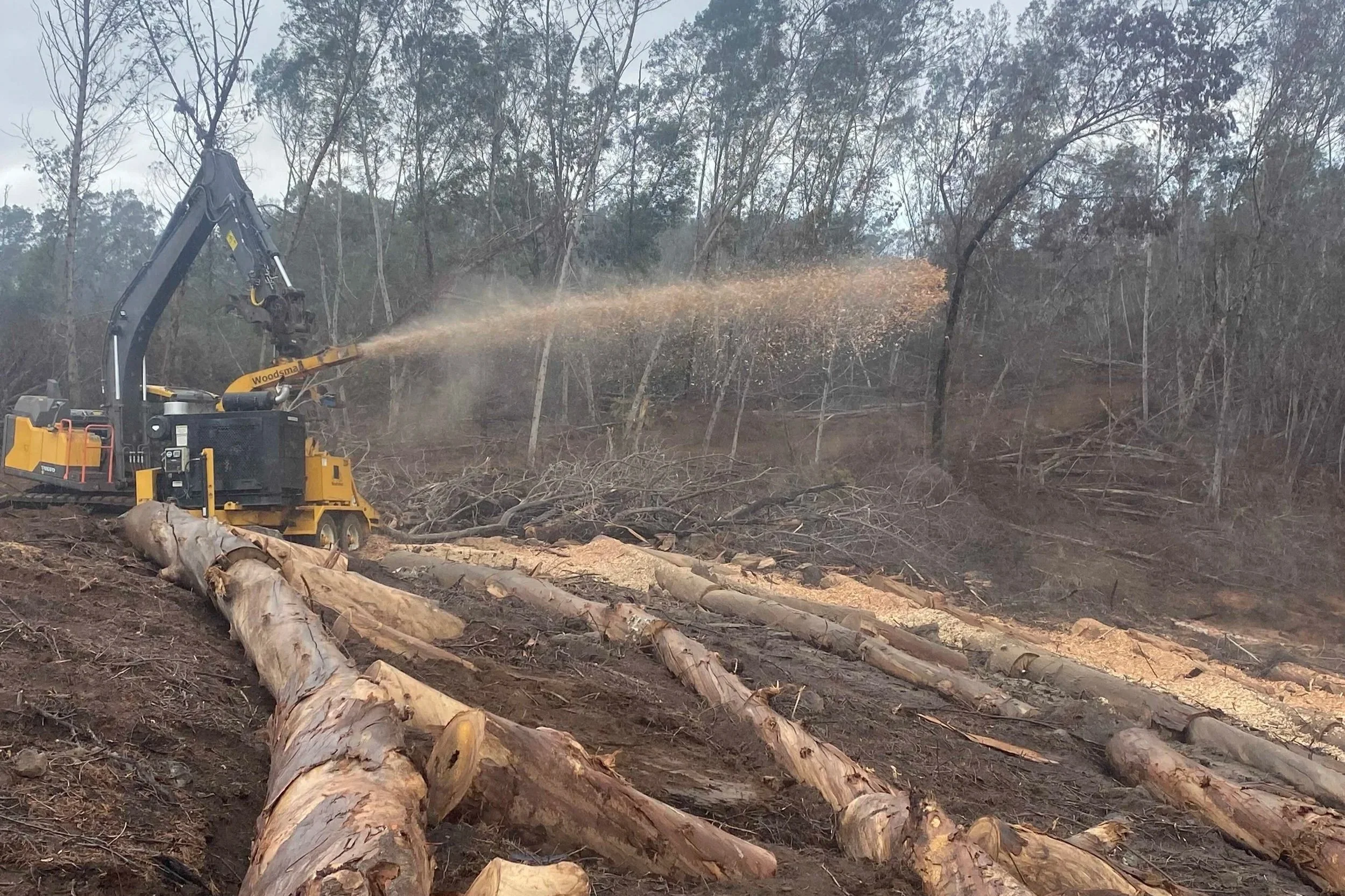 Hawaiʻi Community Foundation Awards Grant to Restore and Steward Kula Lands Burned by Wildfire