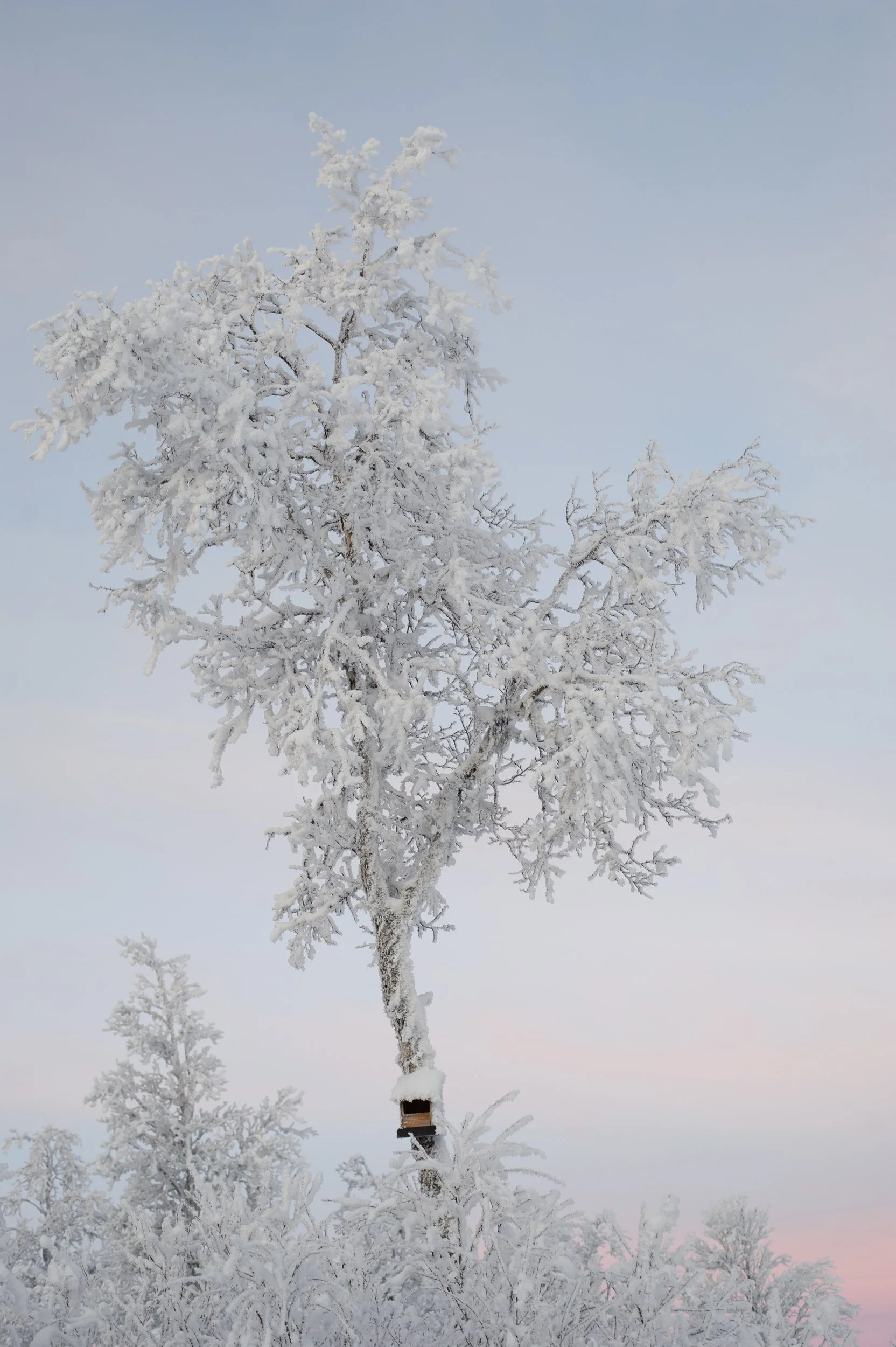 _2226143.jpg