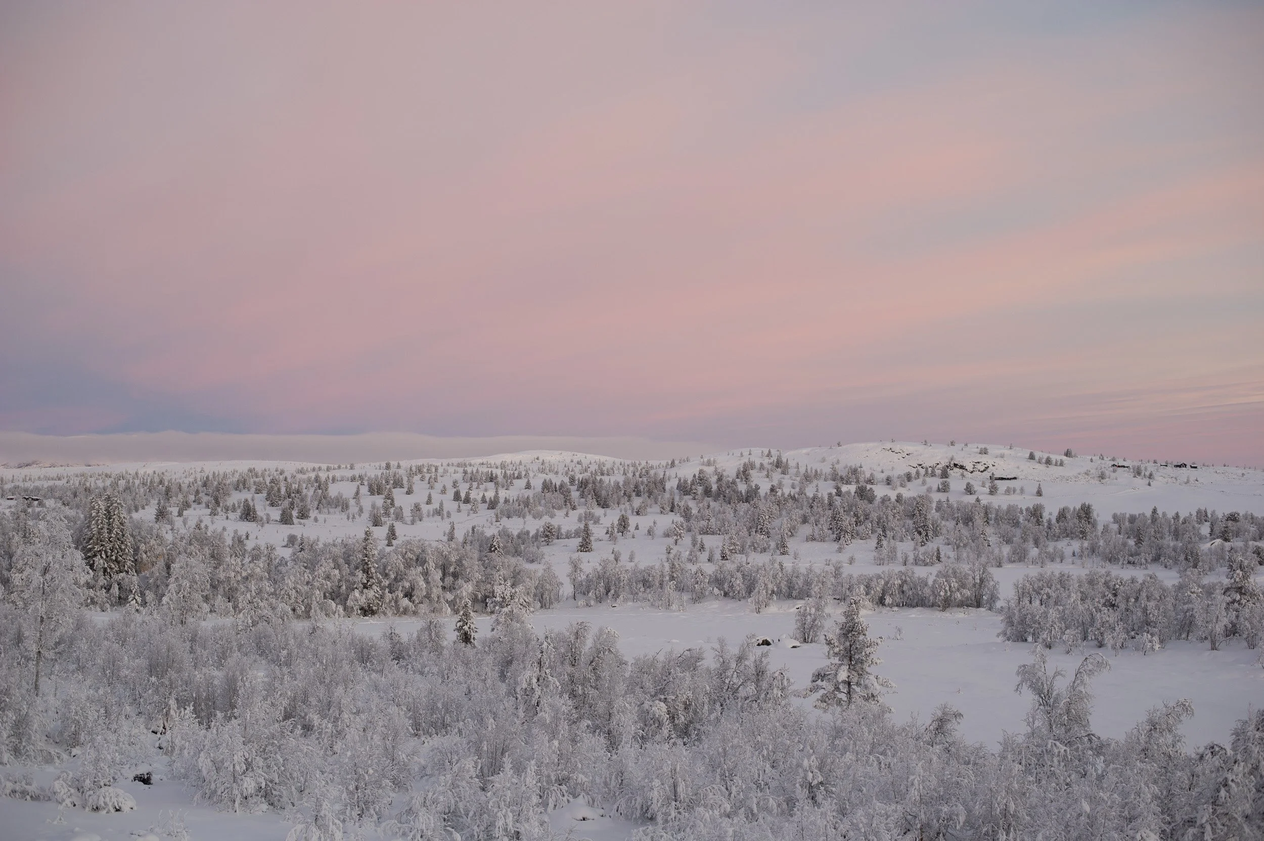 _2226107.jpg