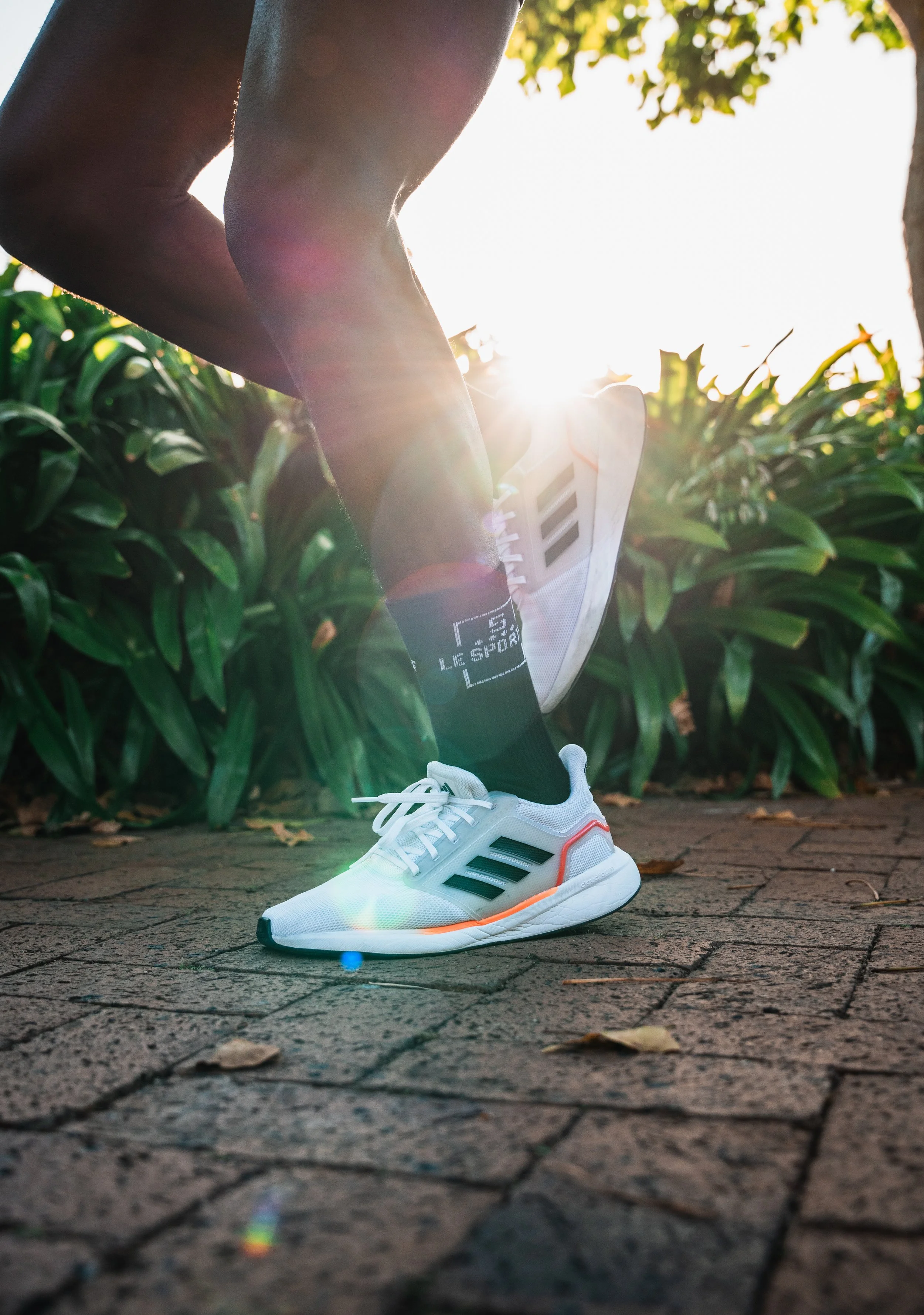 LE SPORTIF FOR WEBSITE-4.JPG