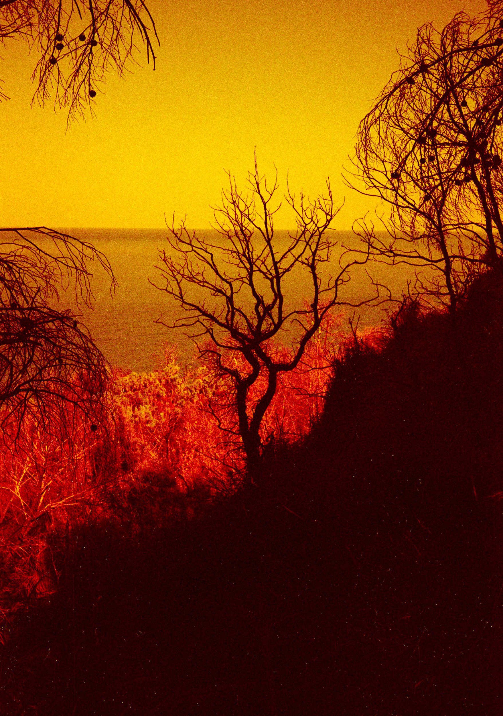 redscale-italy-3.jpg