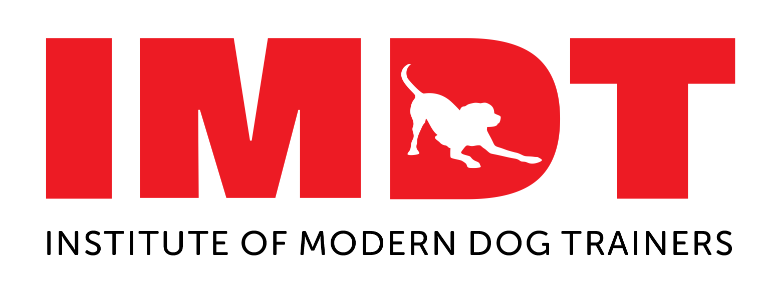 Reward Based Dog Training, Berkshire Smart Dog Academy