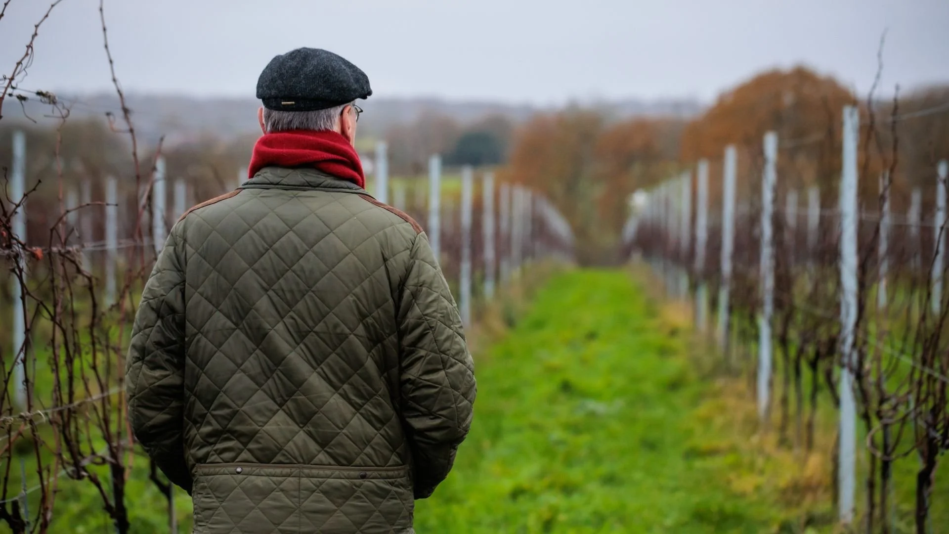 A Wilder Tenterden - Film Screening Event