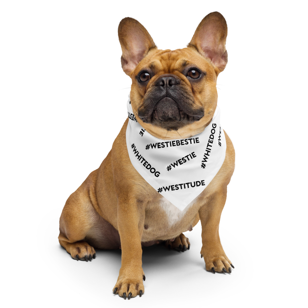 all-over-print-bandana-white-s-front-66a0f8bea5b1a.png