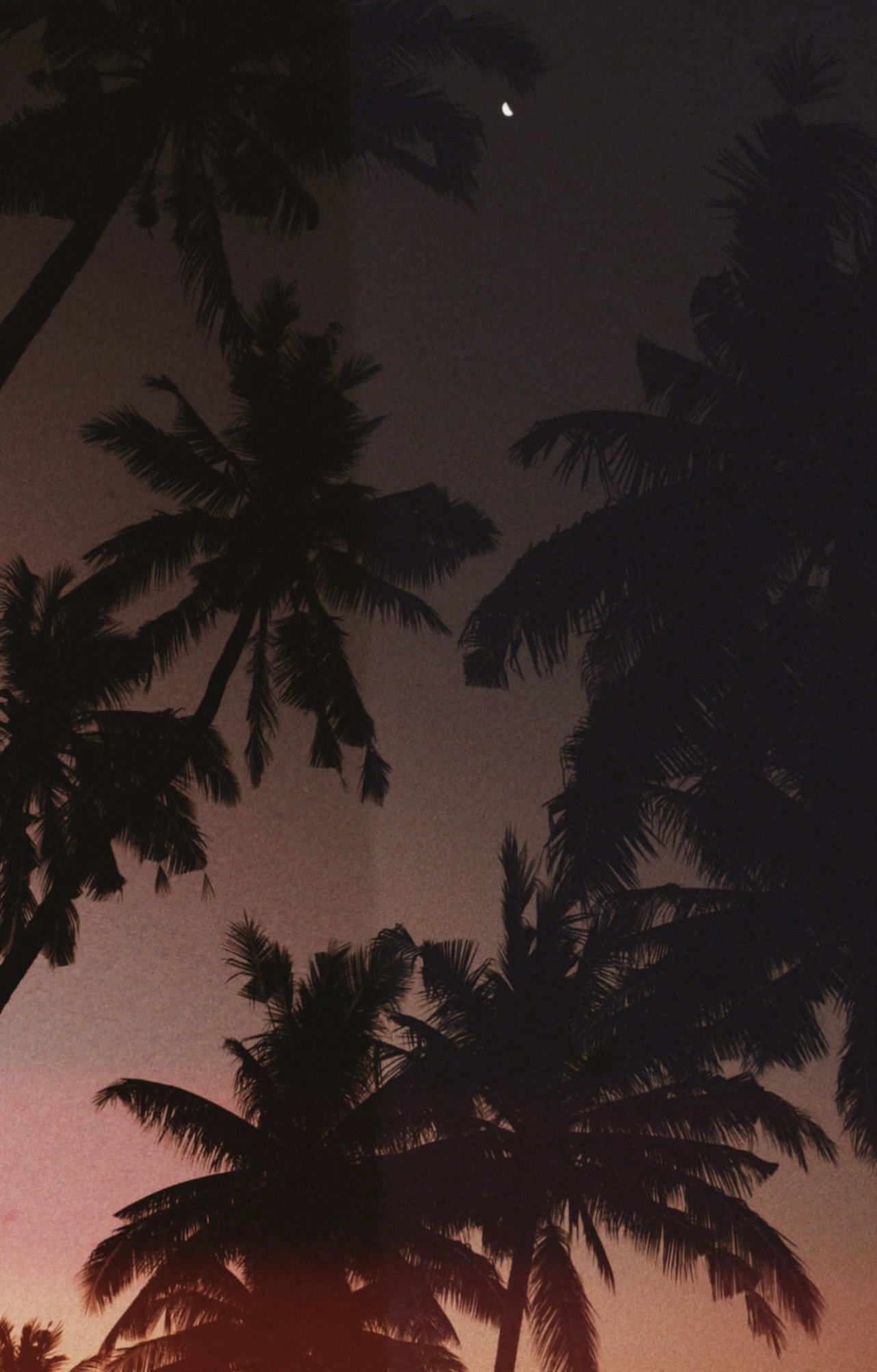 B4DF4EEC-9646-4FF7-A19C-92BC18203B43.jpeg