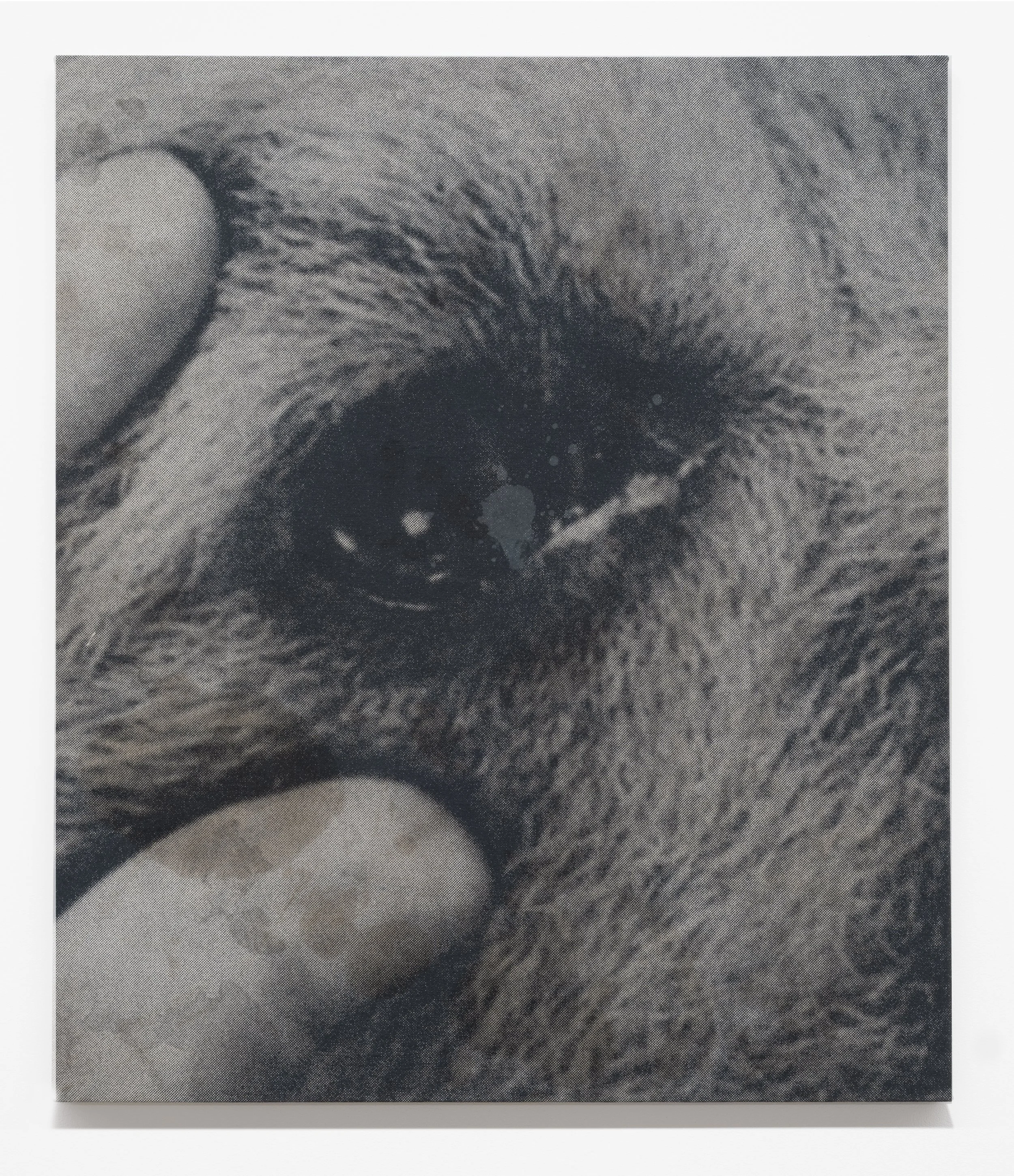 The Trouble with Being Born