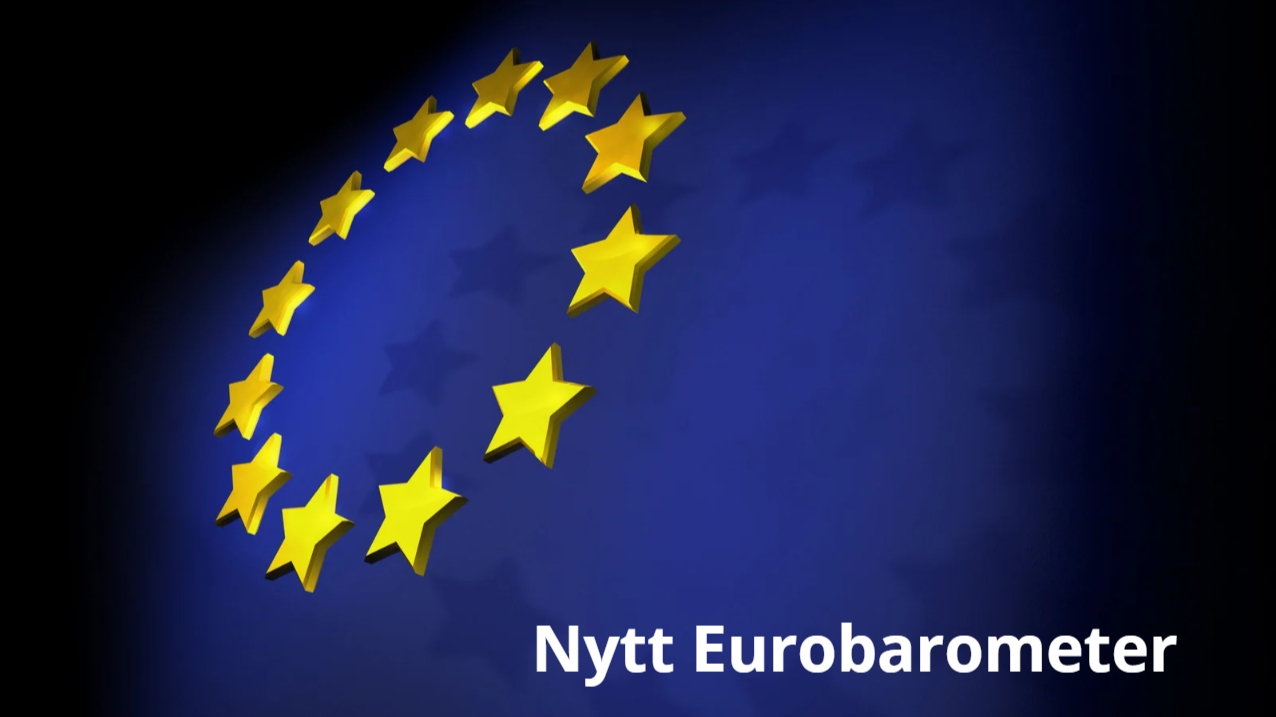 Stor støtte til EU-medlemskap blant våre nordiske naboer&nbsp;