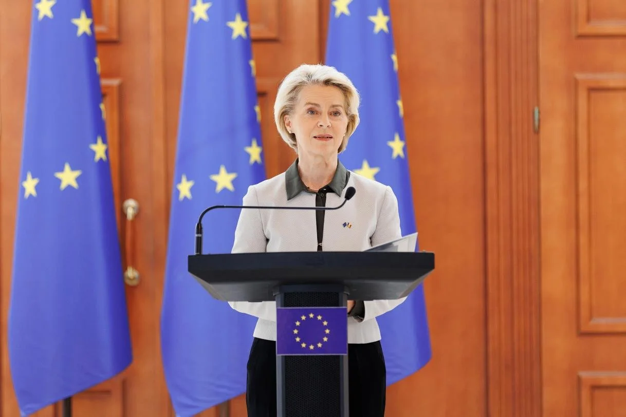 Europeiske stålpinnsvin