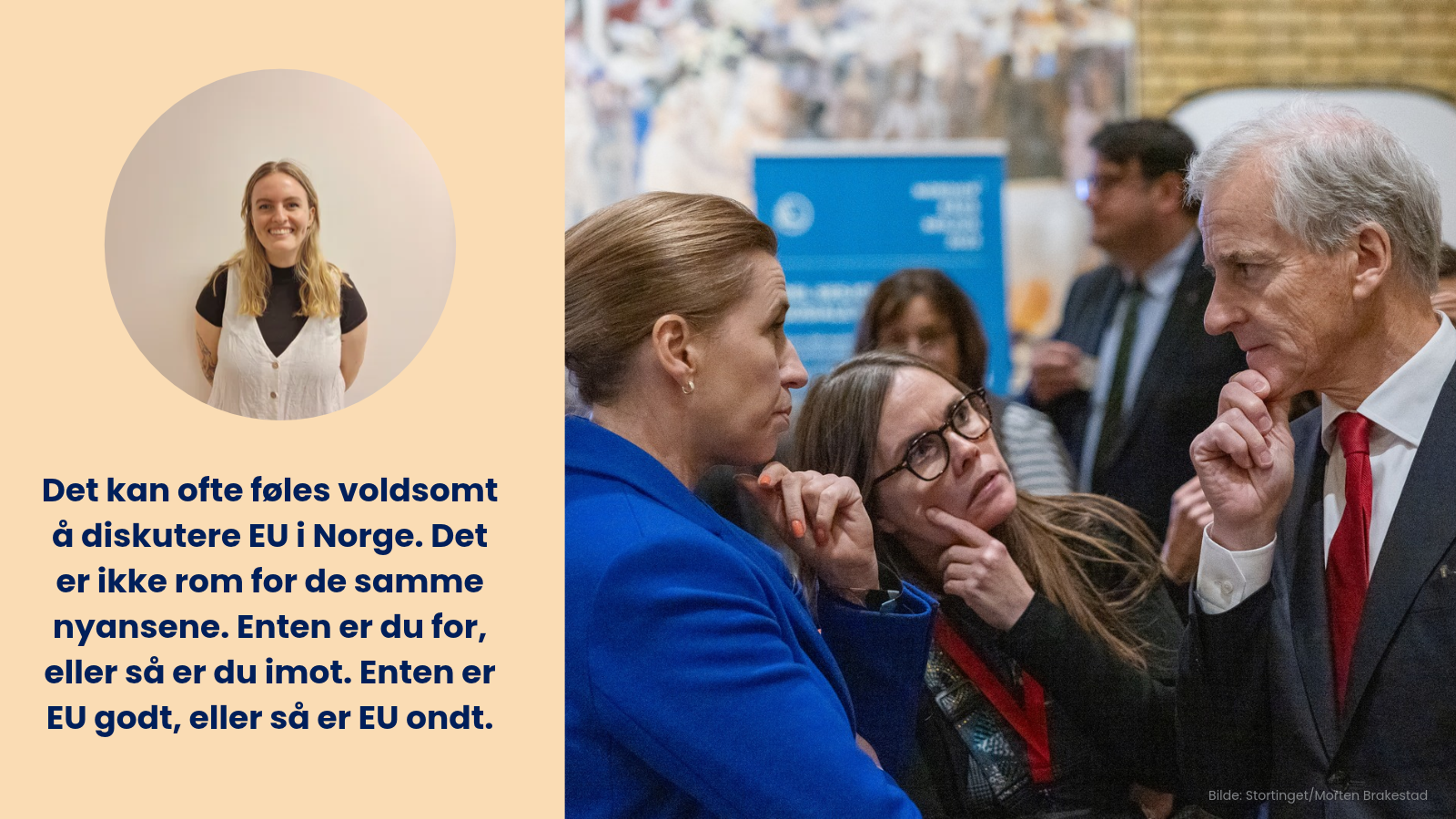 Å forklare den norske EU-debatten for min danske familie er surrealistisk