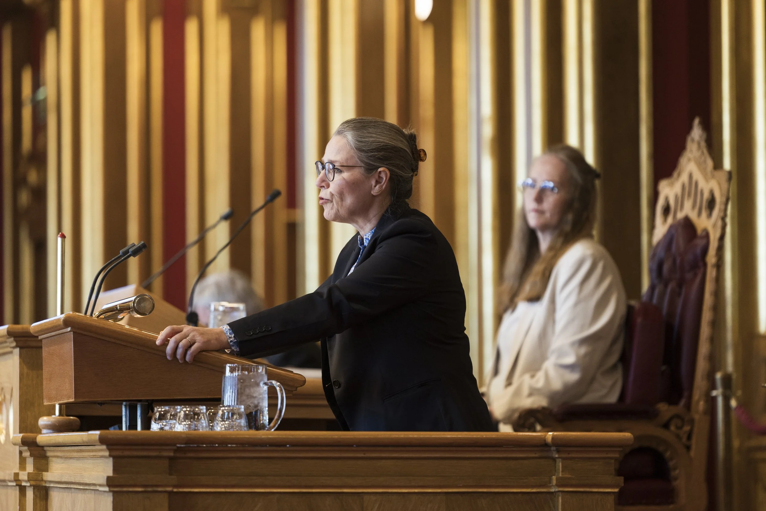 Trine Lise Sundnes på talerstolen under en EU-debatt på Stortinget. Foto: Peter Mydske / Stortinget