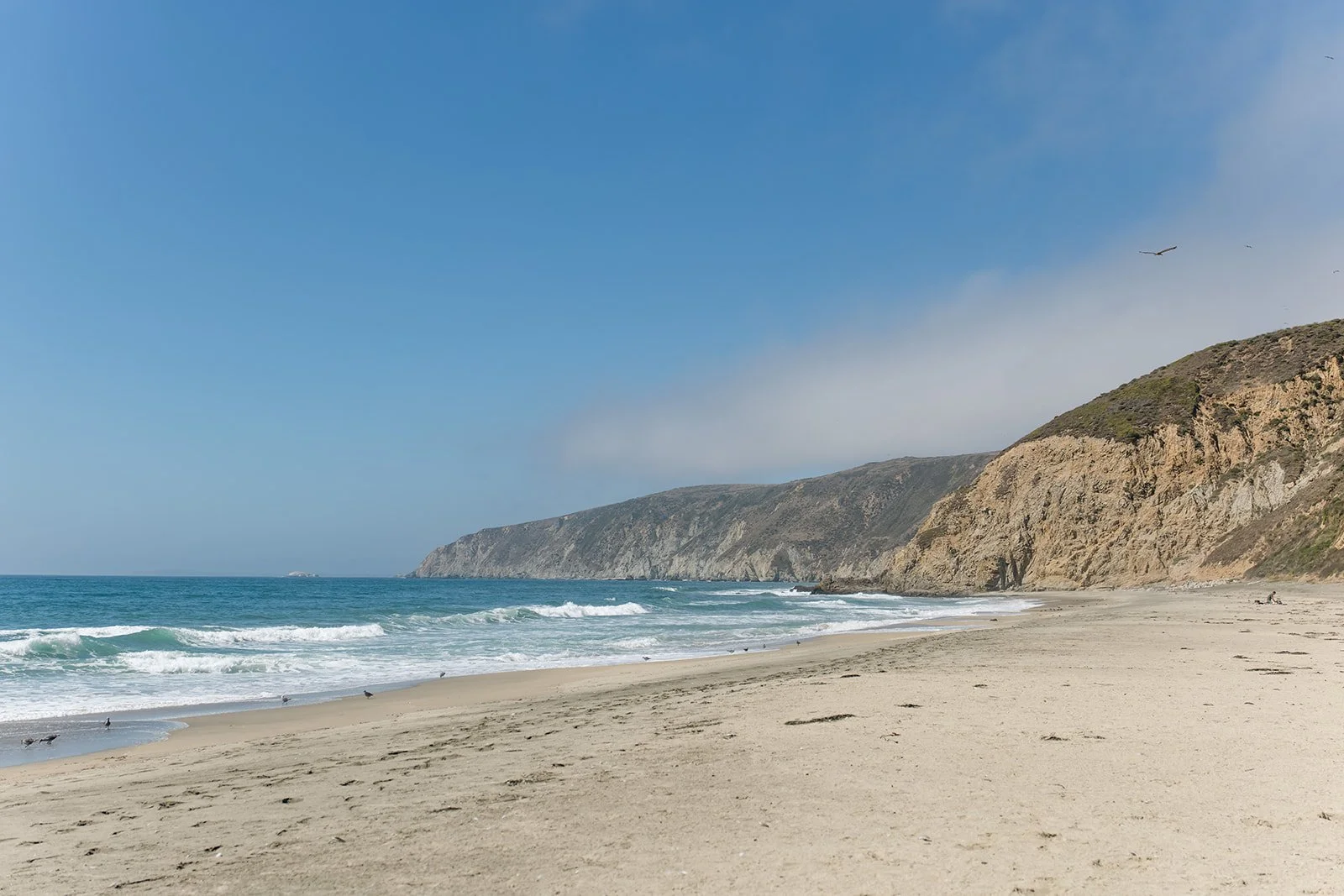 Reyes Point L+J-52.jpg