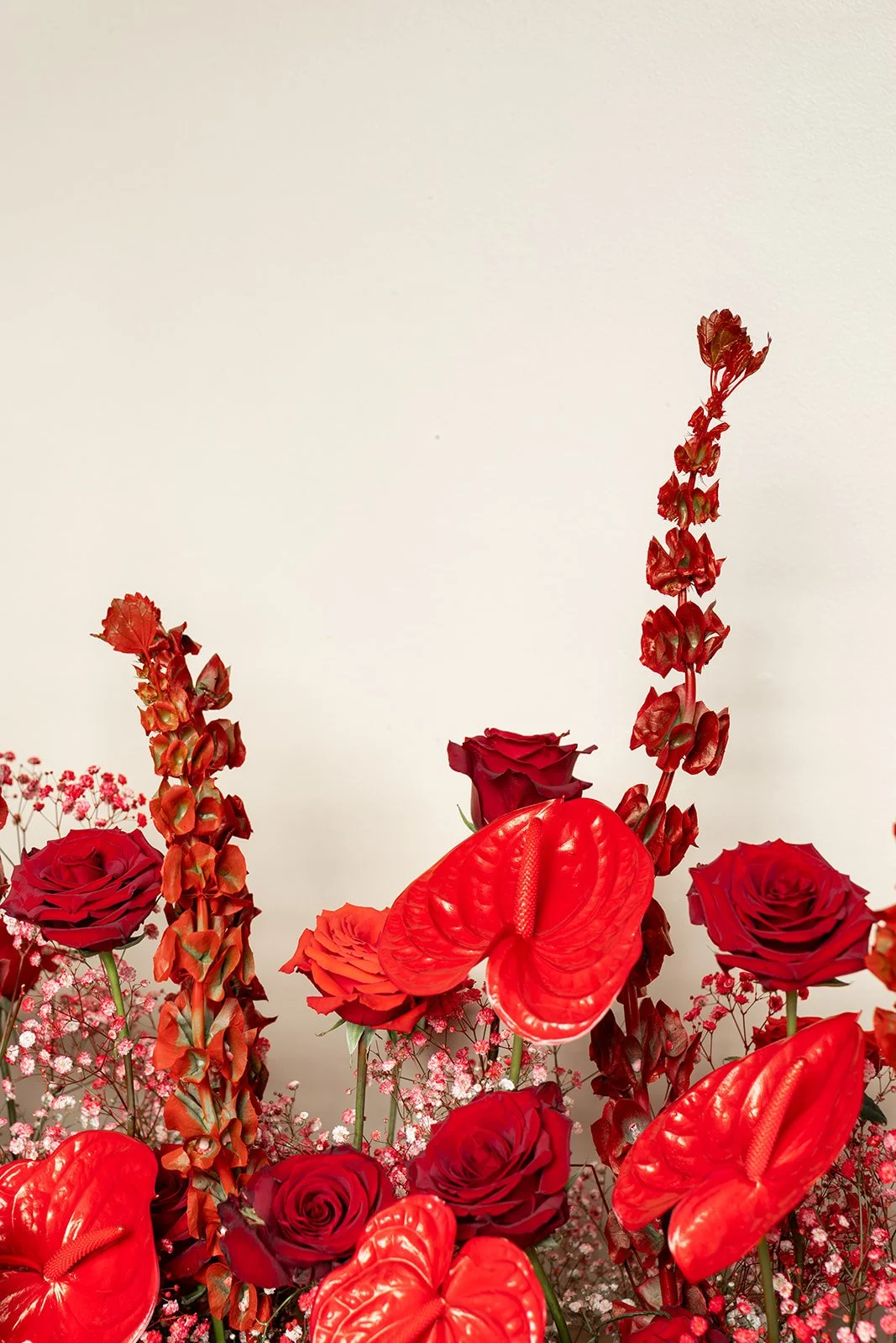 Little Red Sneak-13.jpg