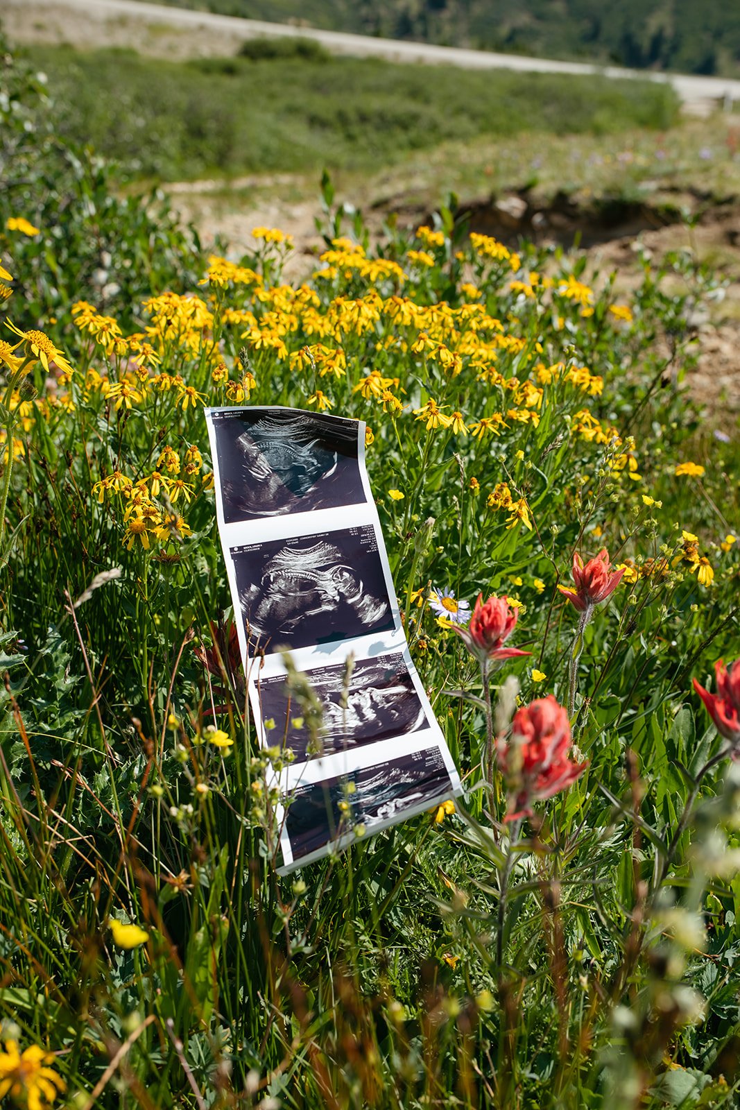 L+R Pass Lake-65.jpg