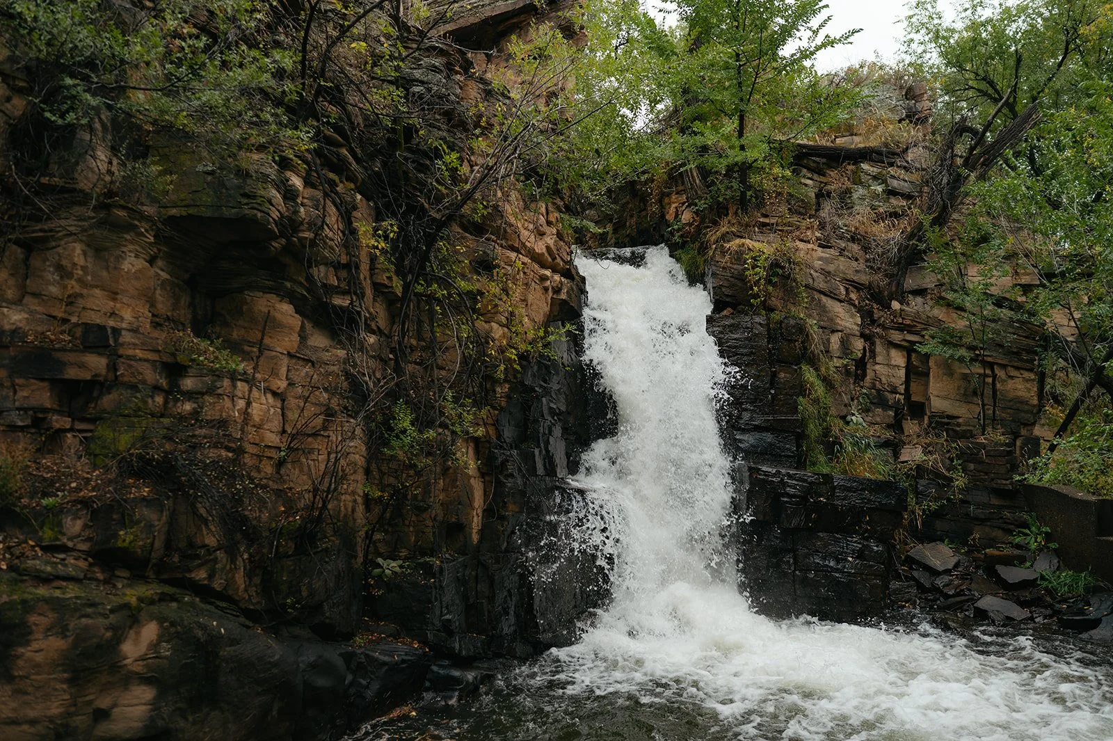 the waterfall ceremony location at the Micro Wedding Venue in CO