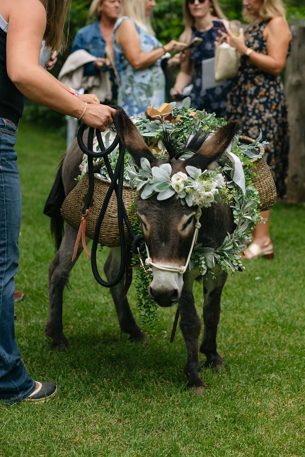 Donkey adorned with greenery and florals being led on a leash during an outdoor wedding reception with guests chatting behind.
