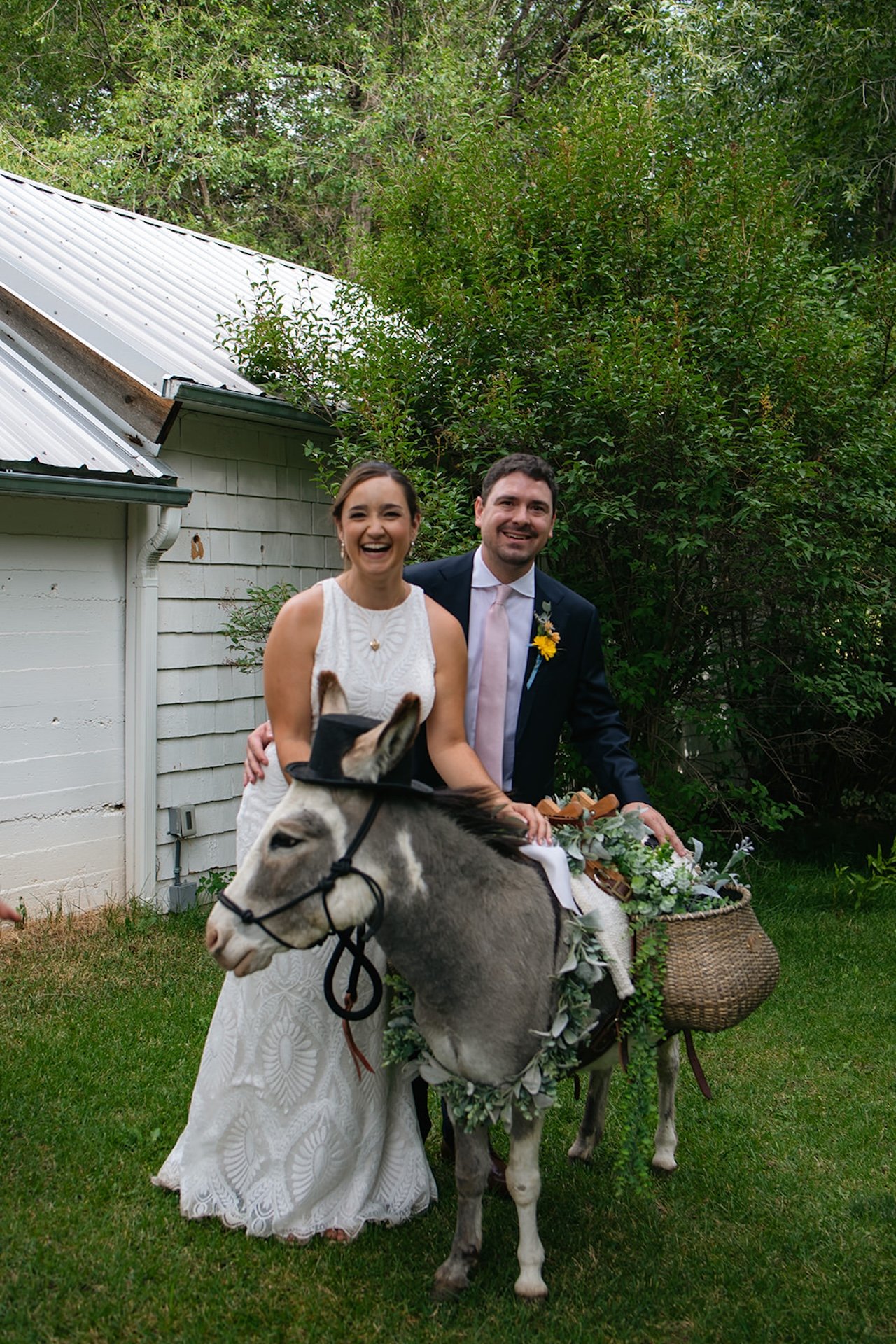 Bride and groom smiling and posing with a decorated donkey in a backyard wedding setting with greenery and rustic charm.