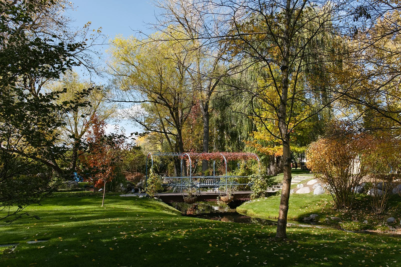 Oceana_s Gardens October-46.jpg